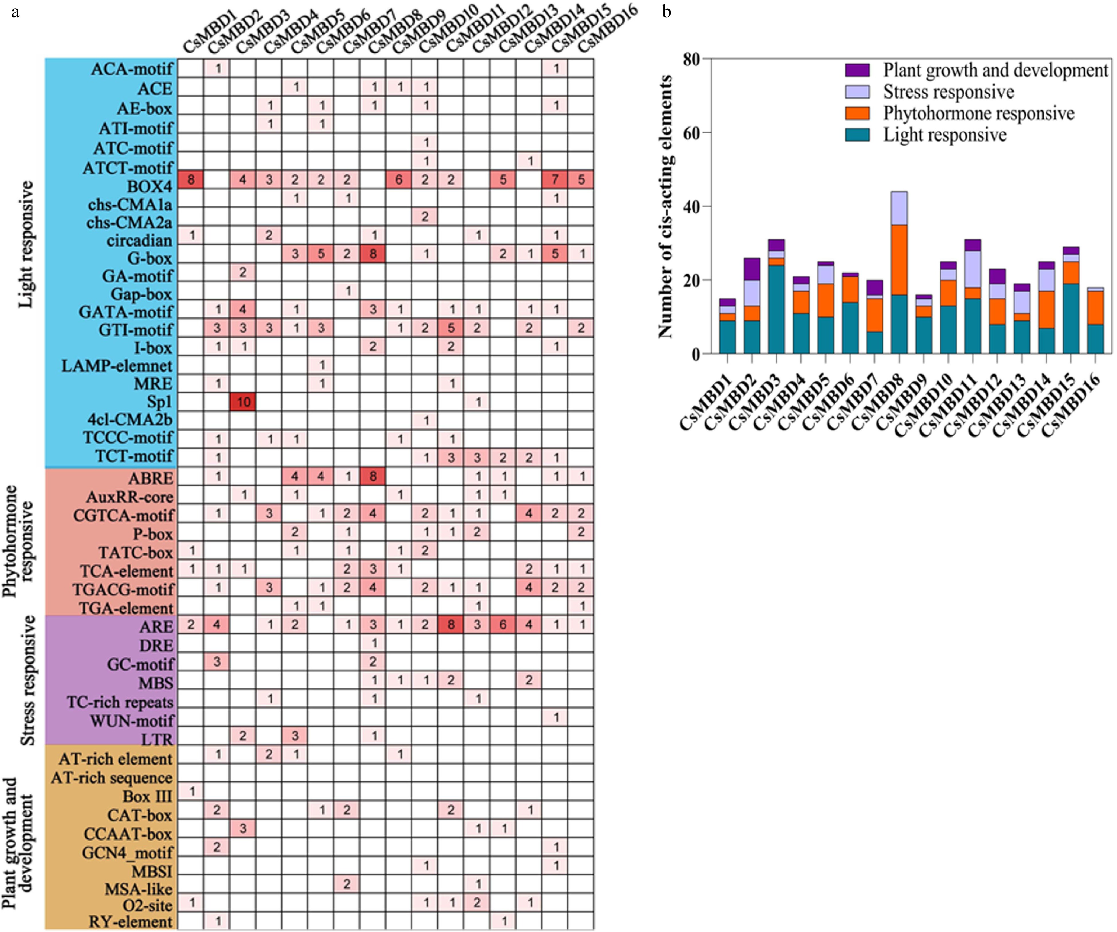 Genome Wide Identification And Expression Profiling Reveal The Diverse