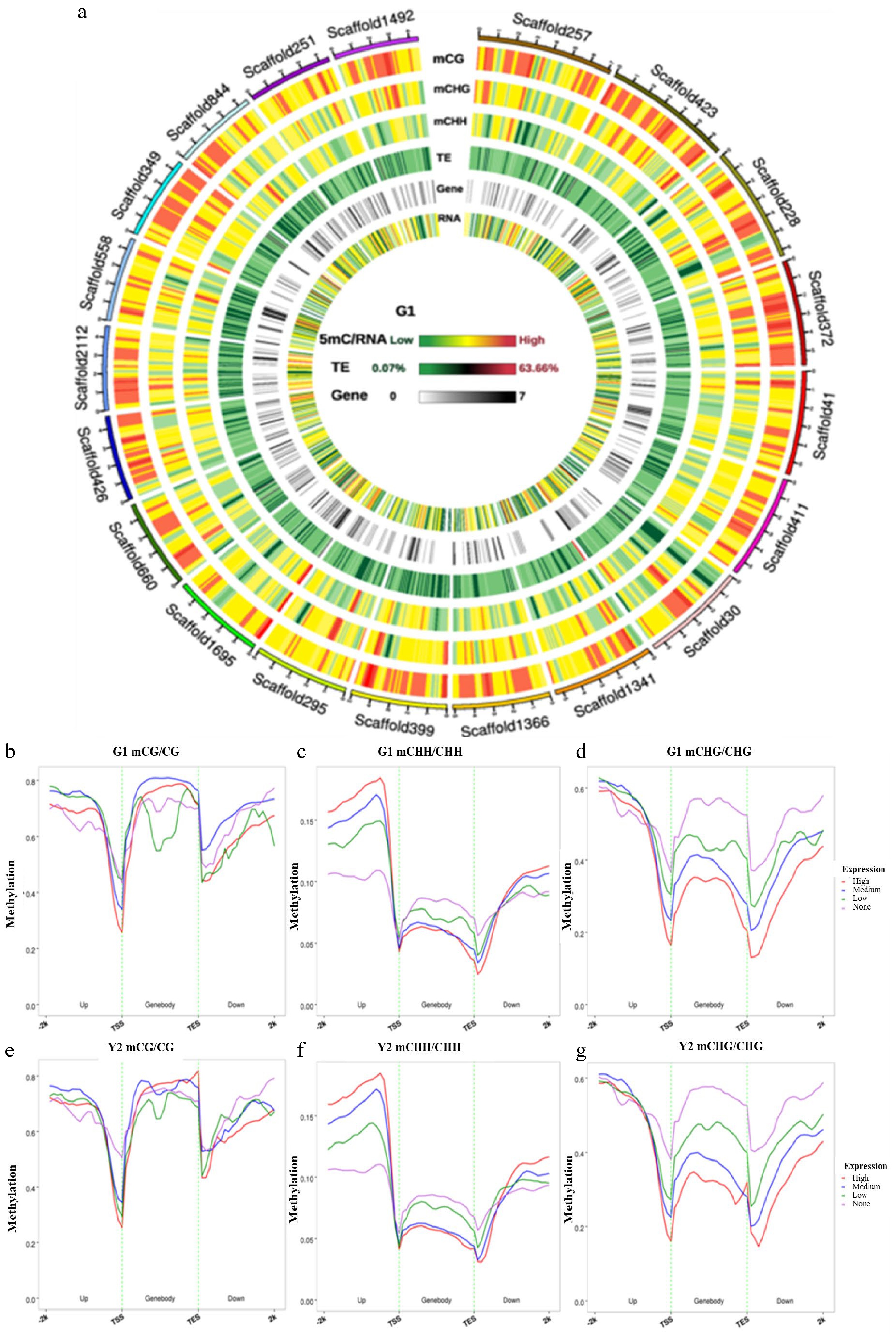 An Integrative Analysis Of Metabolomics DNA Methylation And RNA Seq