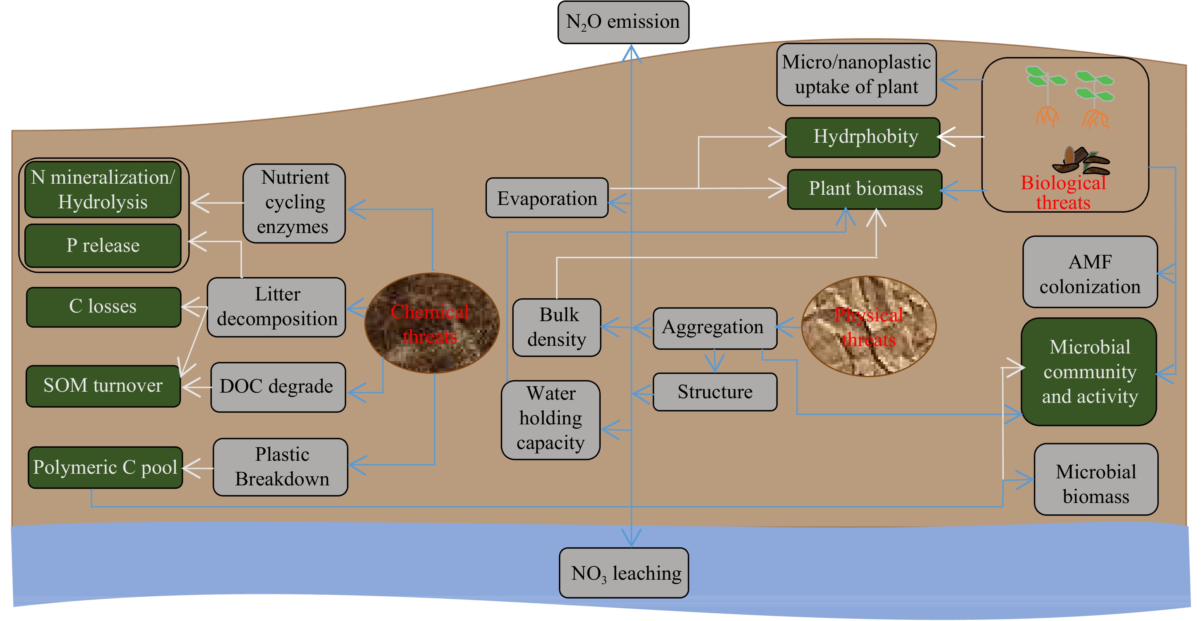 Deciphering Microplastic Ecotoxicology: Impacts On Crops And Soil ...