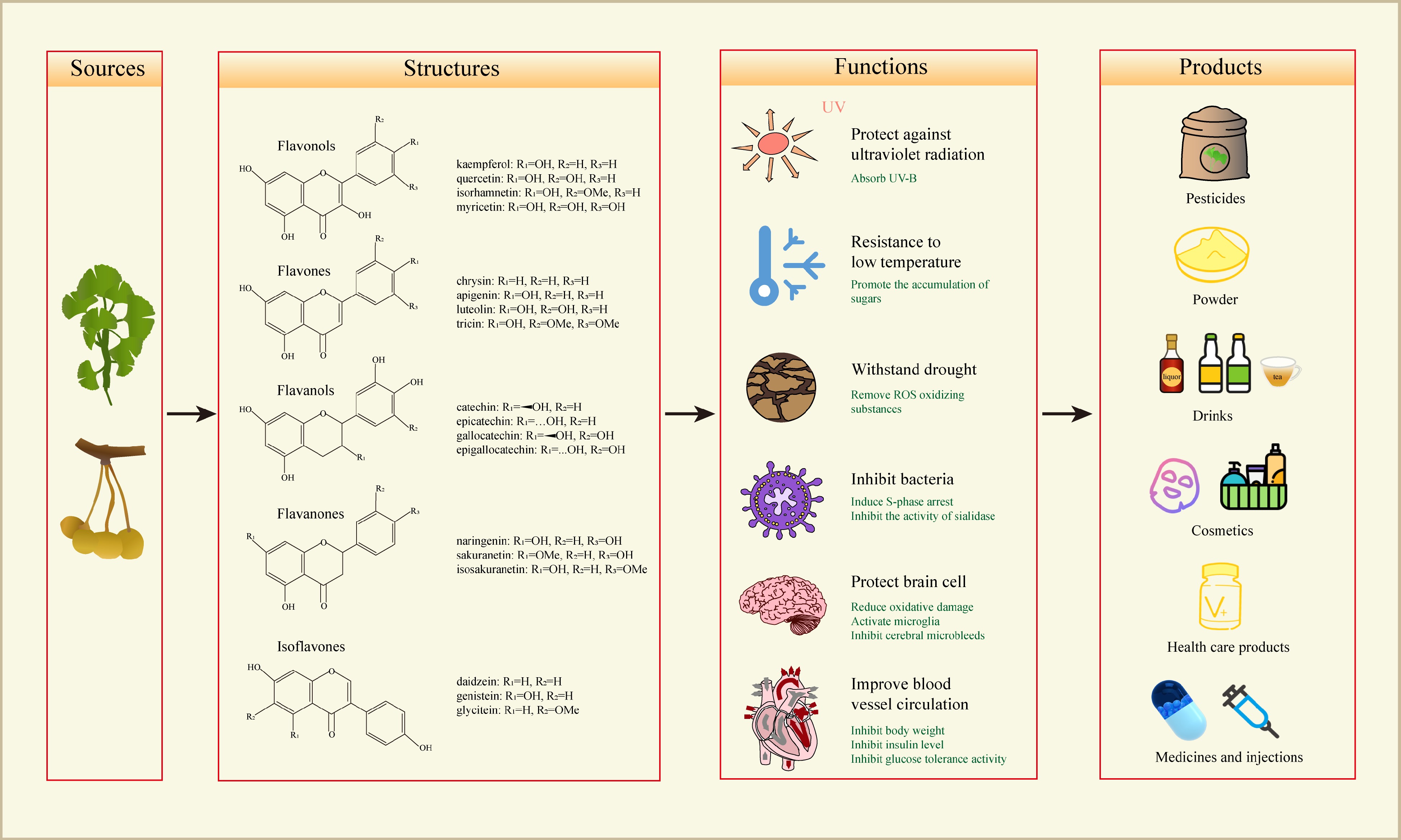 Function Biosynthesis And Regulation Mechanisms Of Flavonoids In