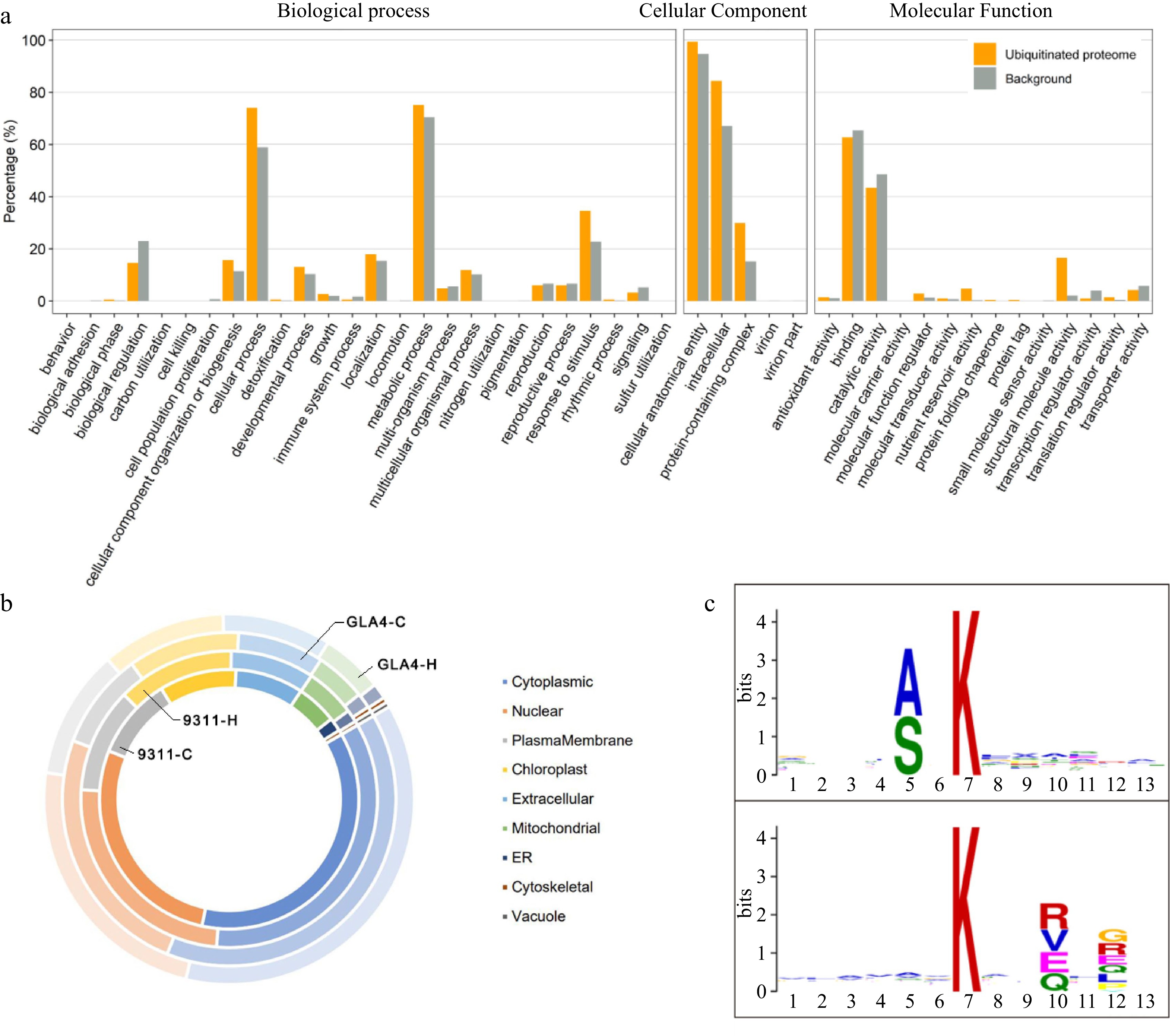 Comparative Ubiquitome Analysis Reveals Diverse Functions Of