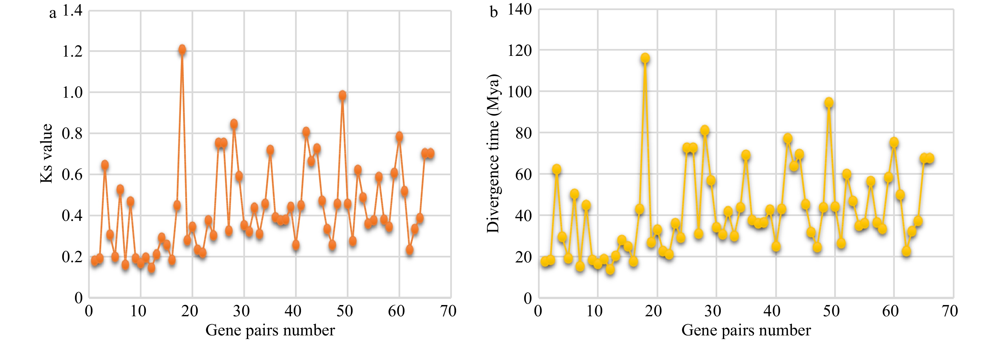 Comparative analysis of the TCP gene family in celery, coriander and