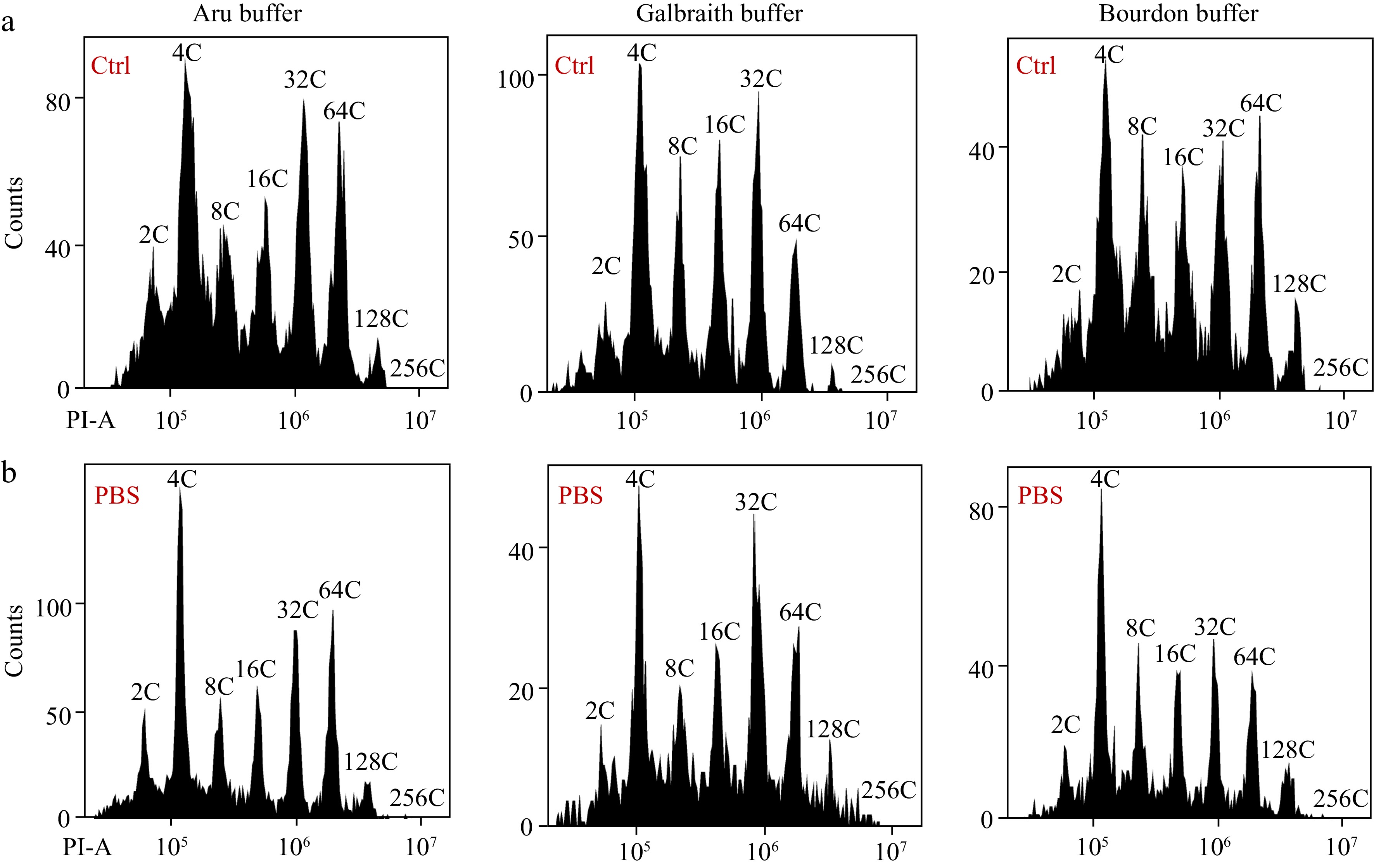 Determination Of Nuclear DNA Ploidy Distribution In The Mesocarp Of