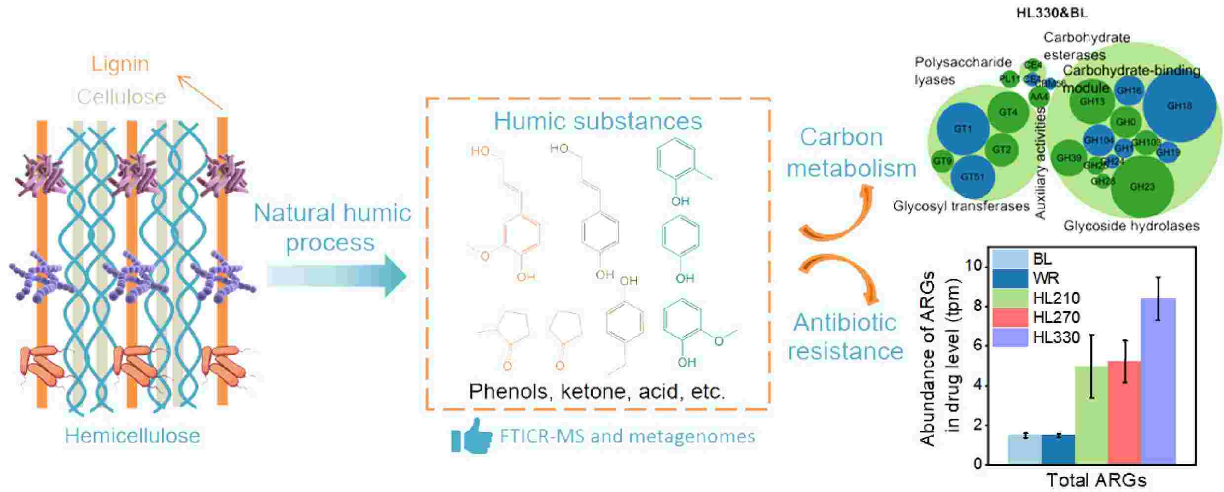 ああ Lignocellulose-derived natural humic substances modulate carbon