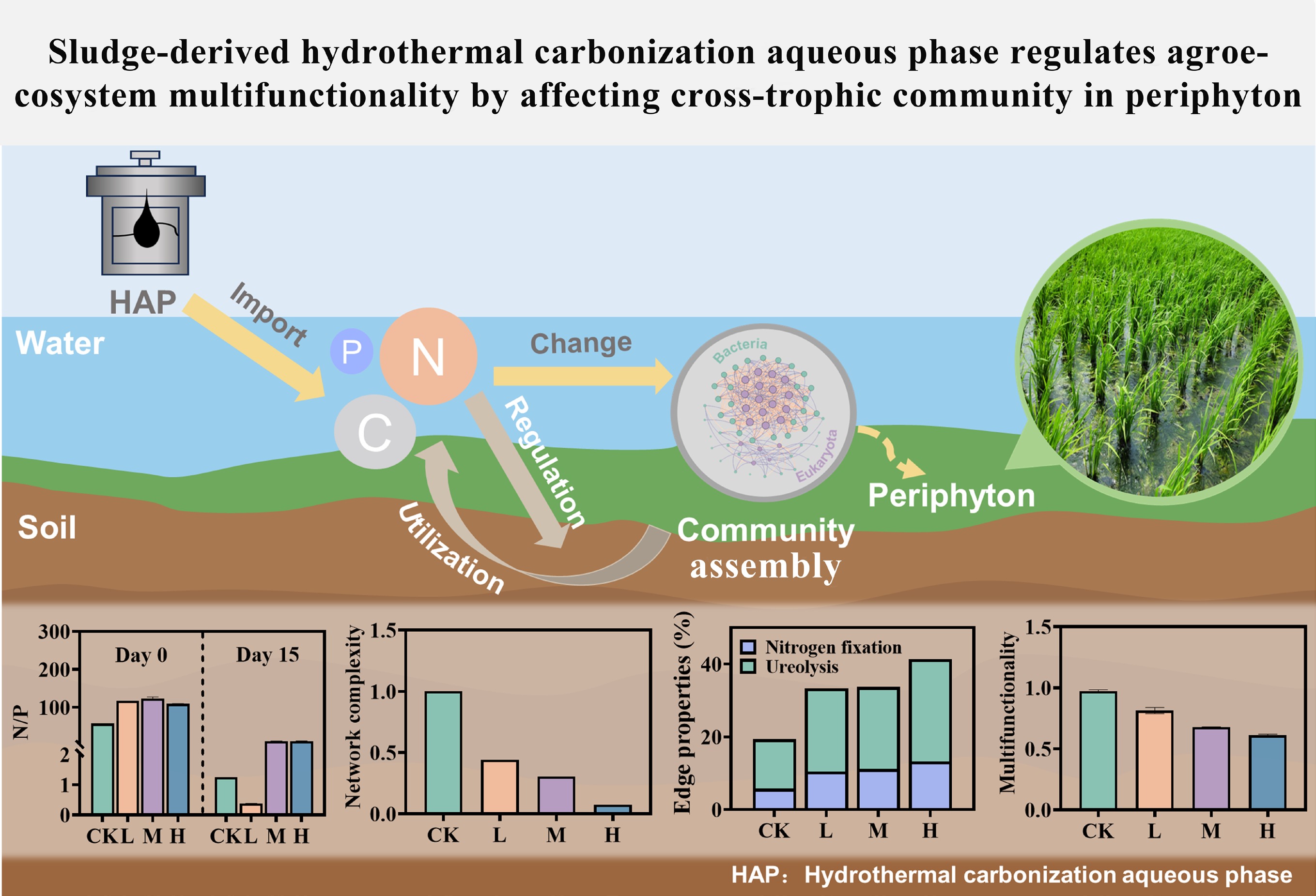 Graphical Abstract