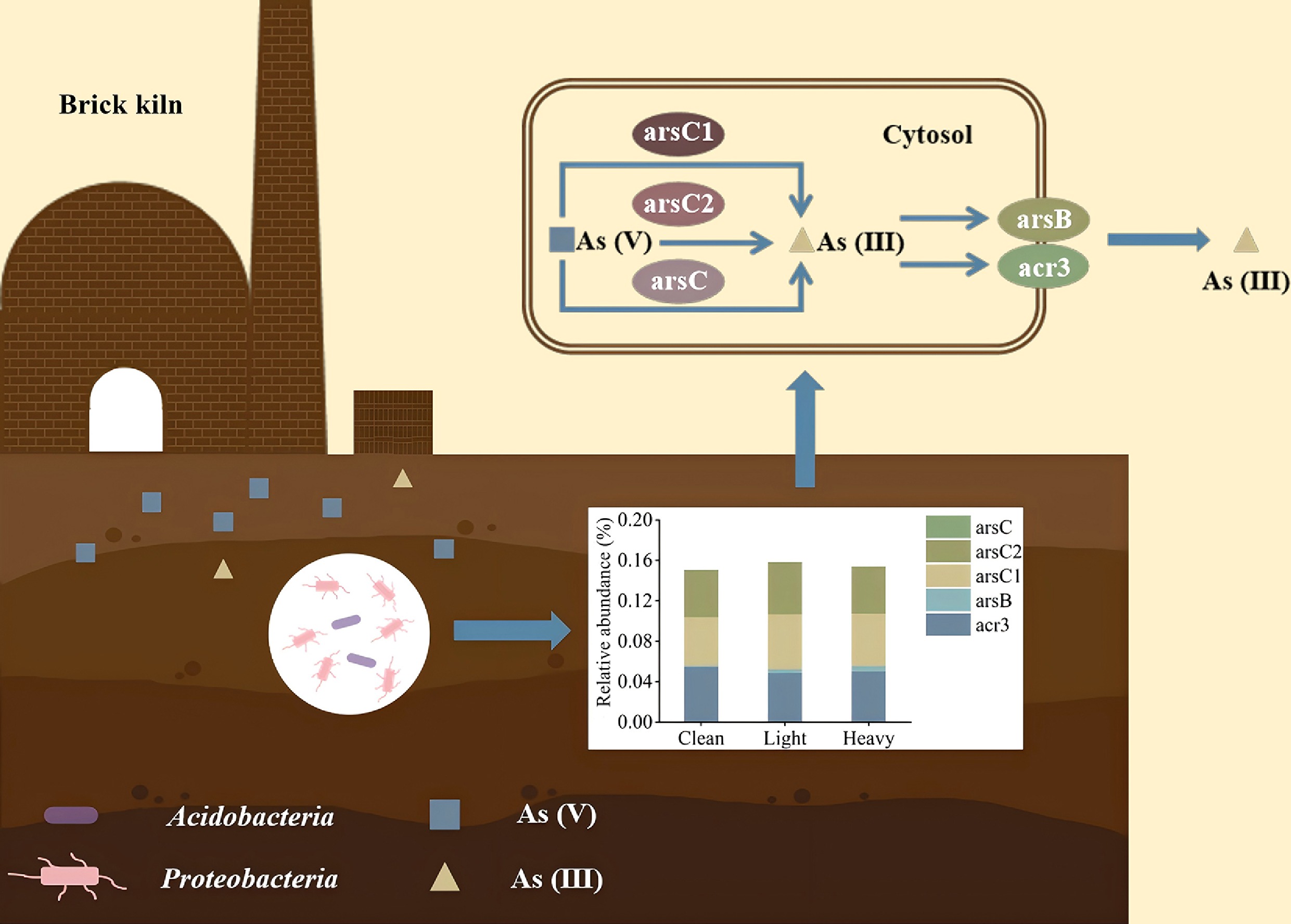 Graphical Abstract