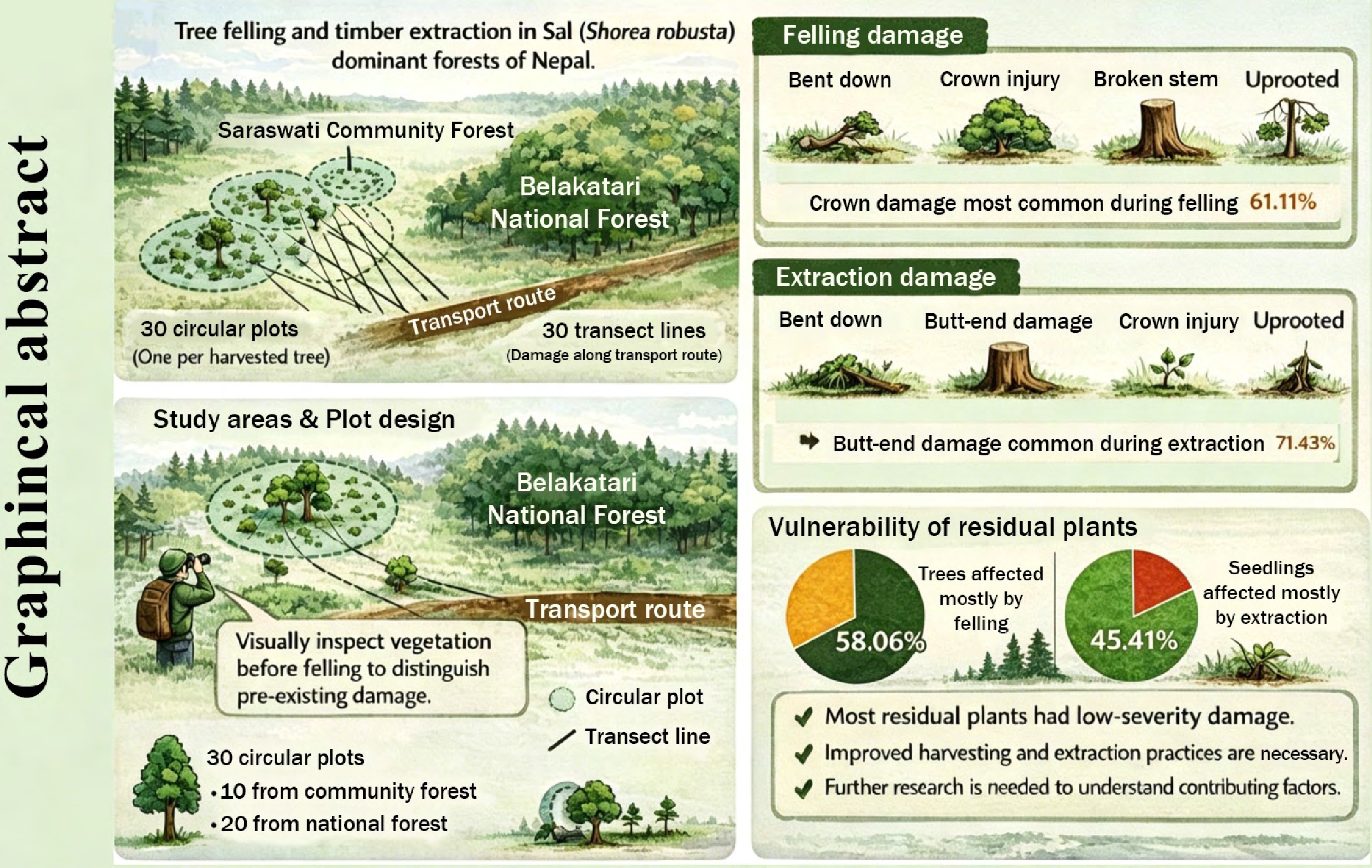 Graphical Abstract