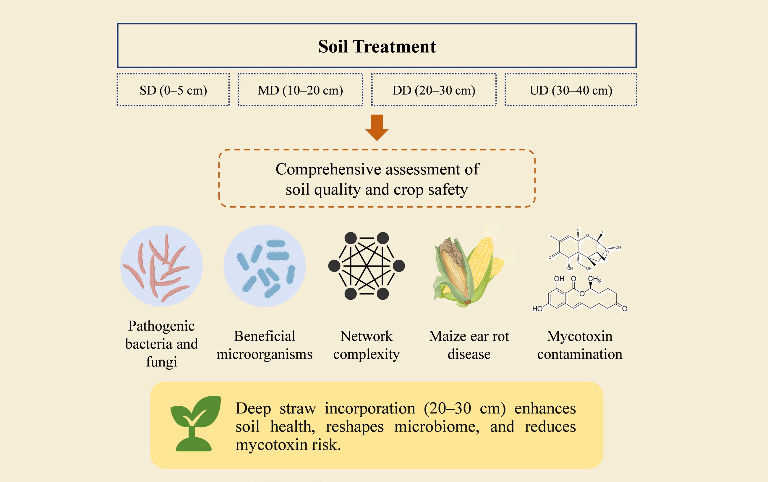 Graphical Abstract