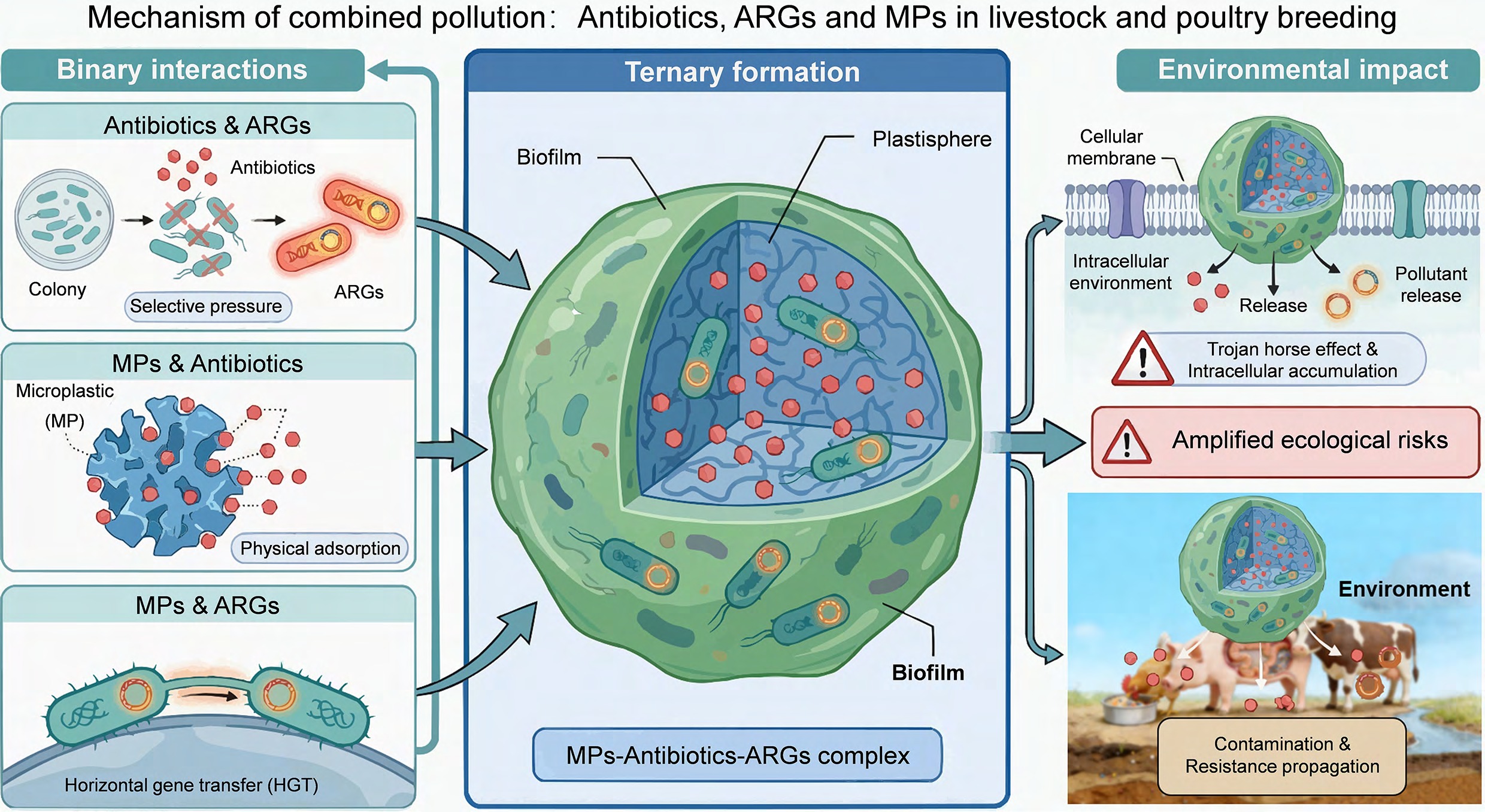 Graphical Abstract