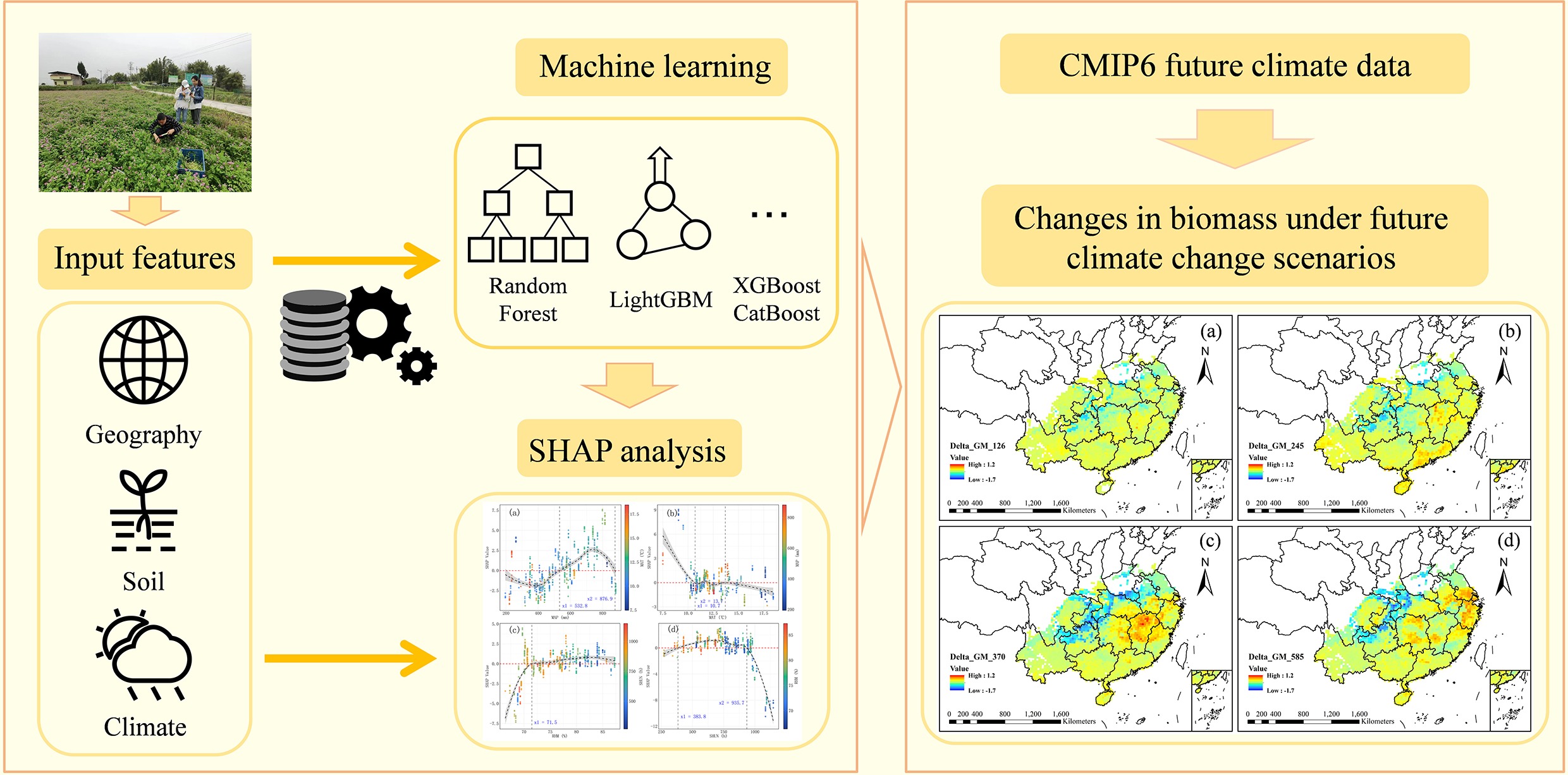Graphical Abstract
