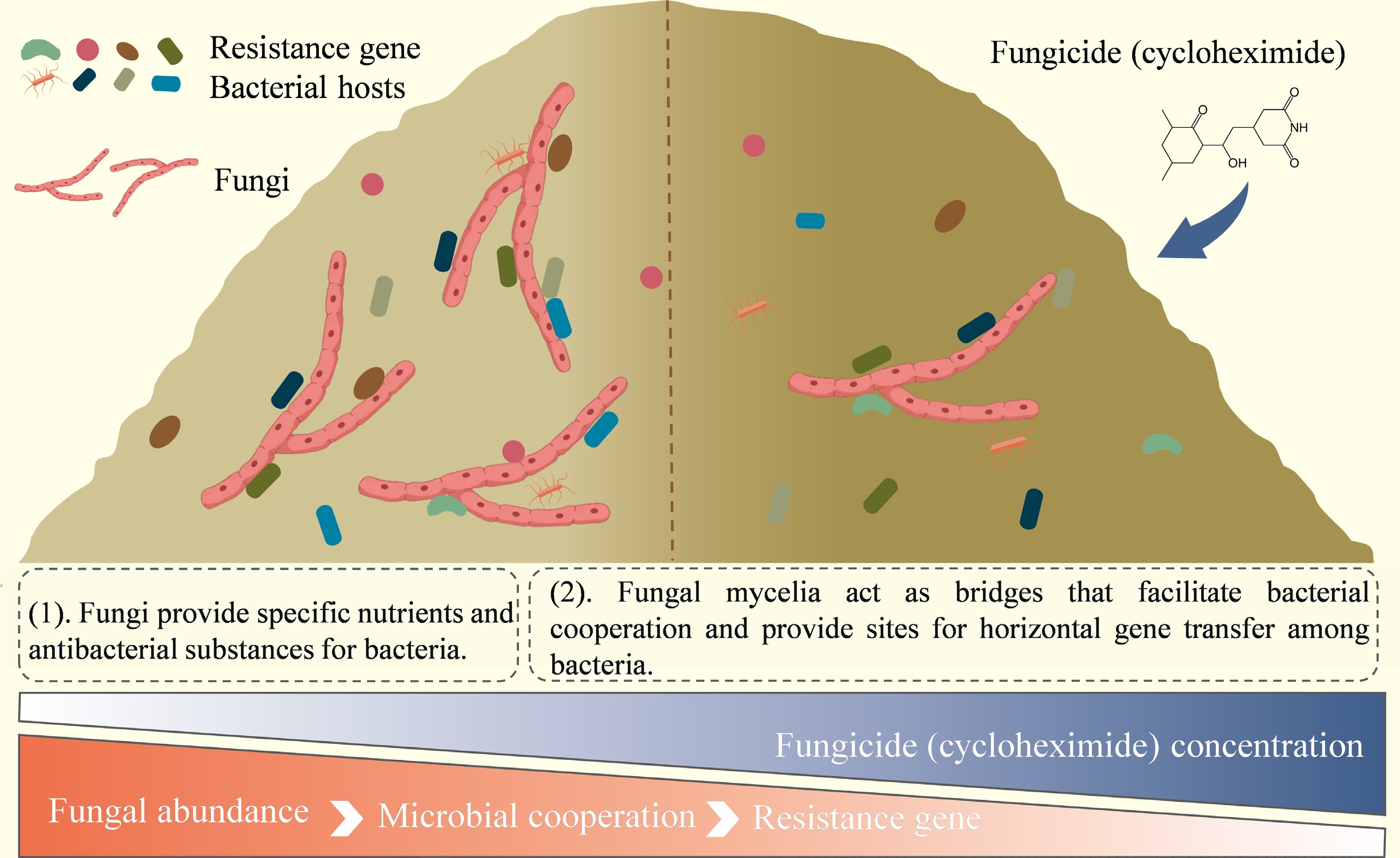 Graphical Abstract