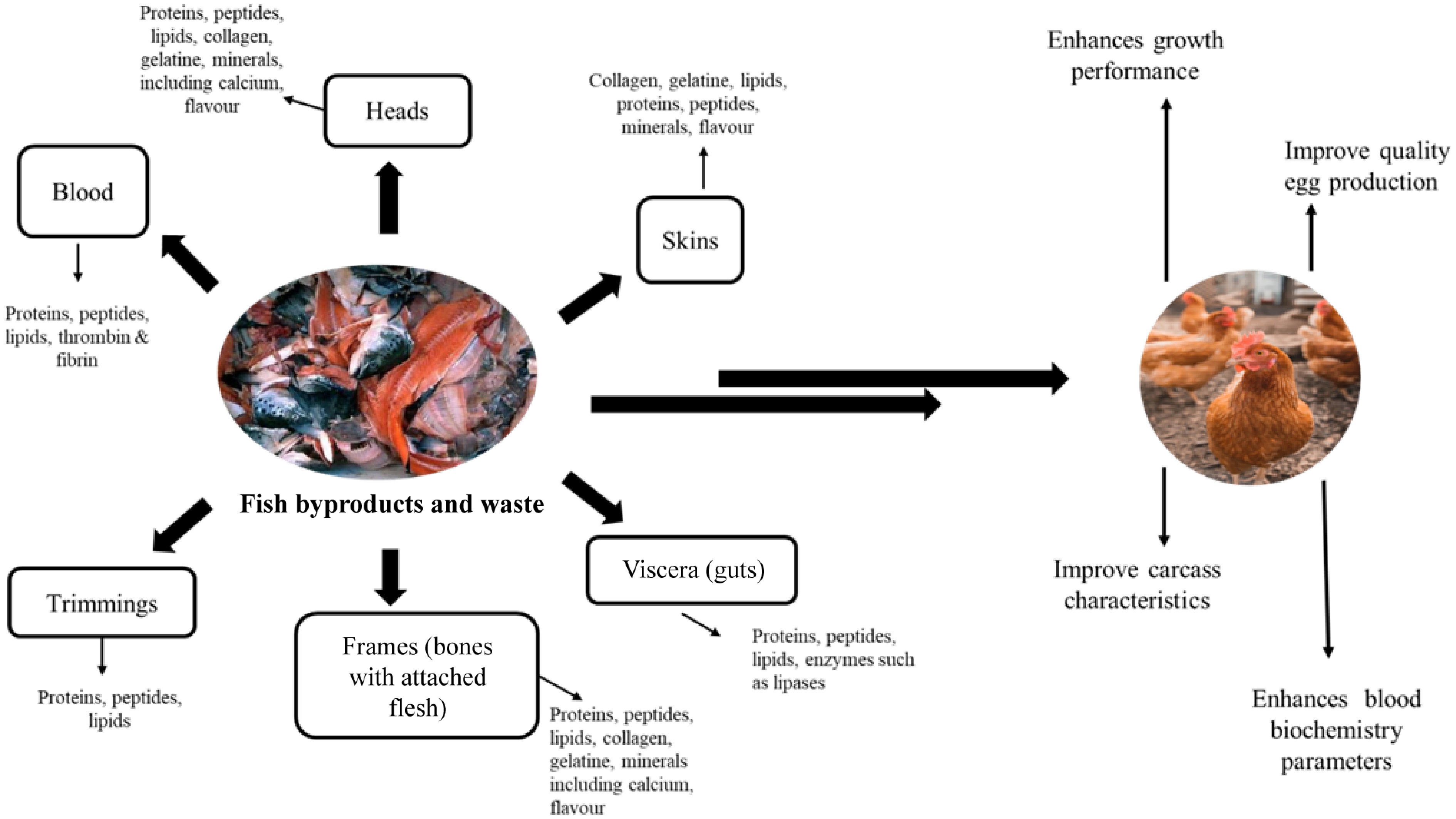 Impact of degradation and time of sampling on gut Microbiome composition in wild-caught marine fish – Nature