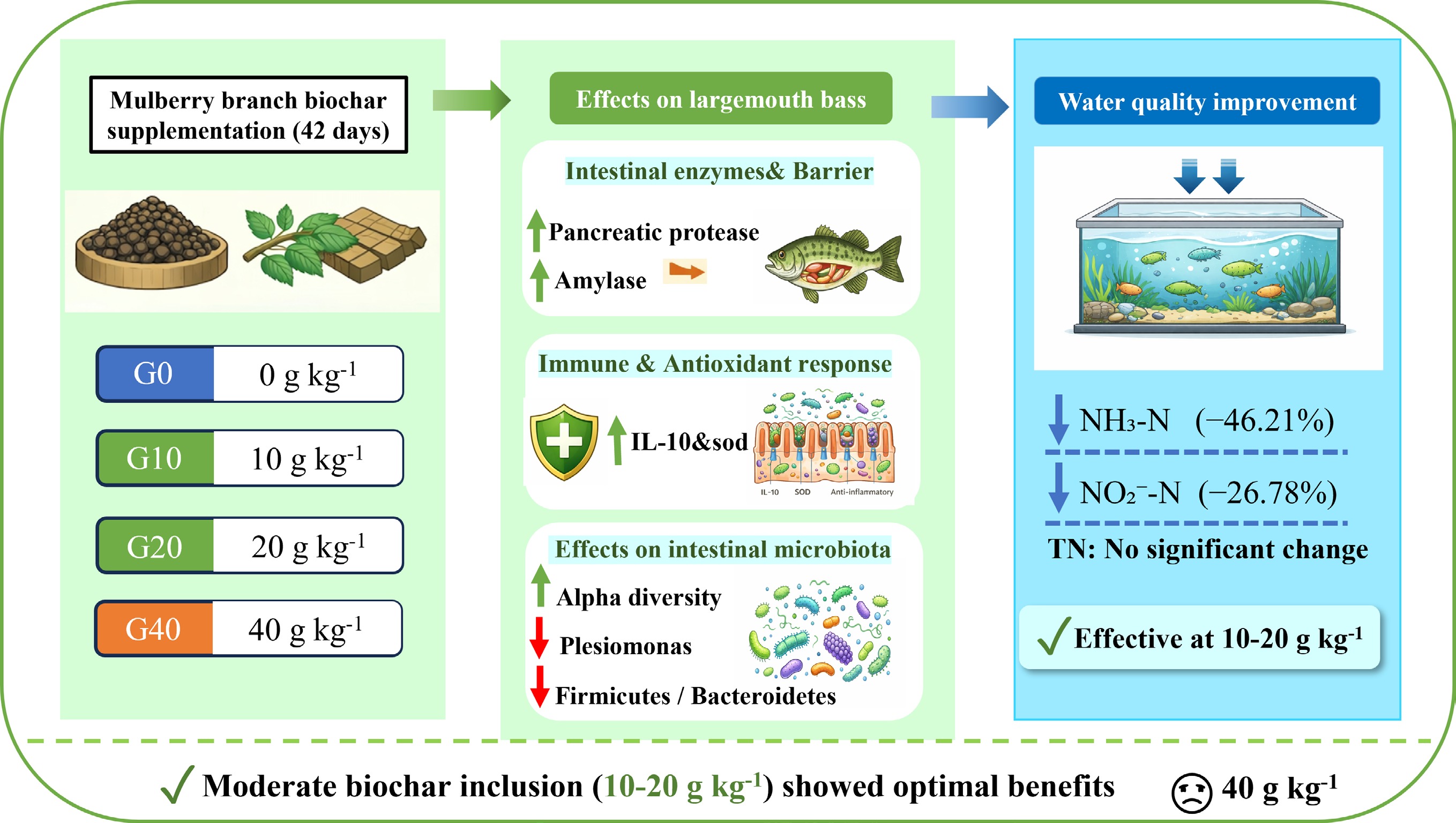 Graphical Abstract
