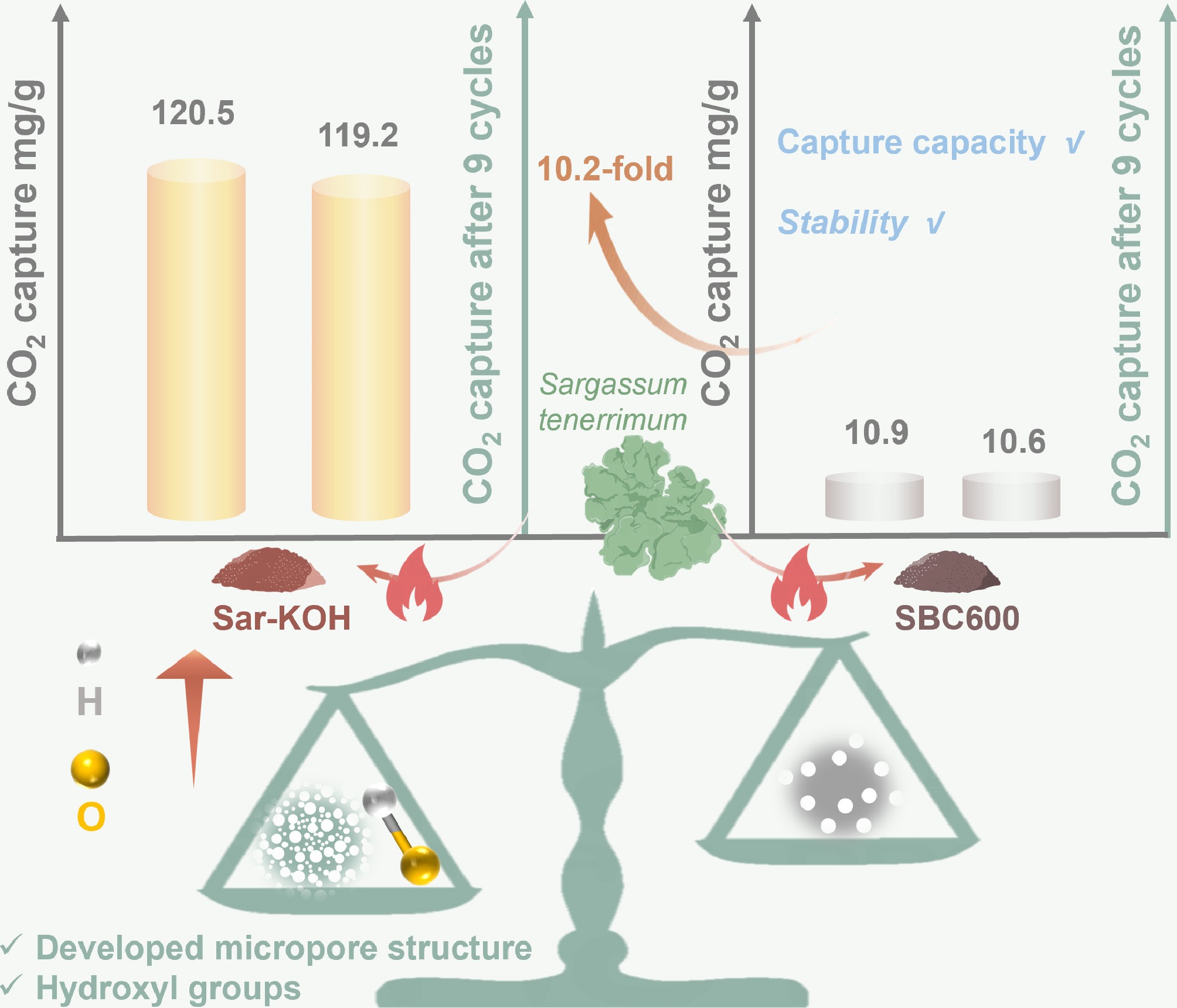 Graphical Abstract