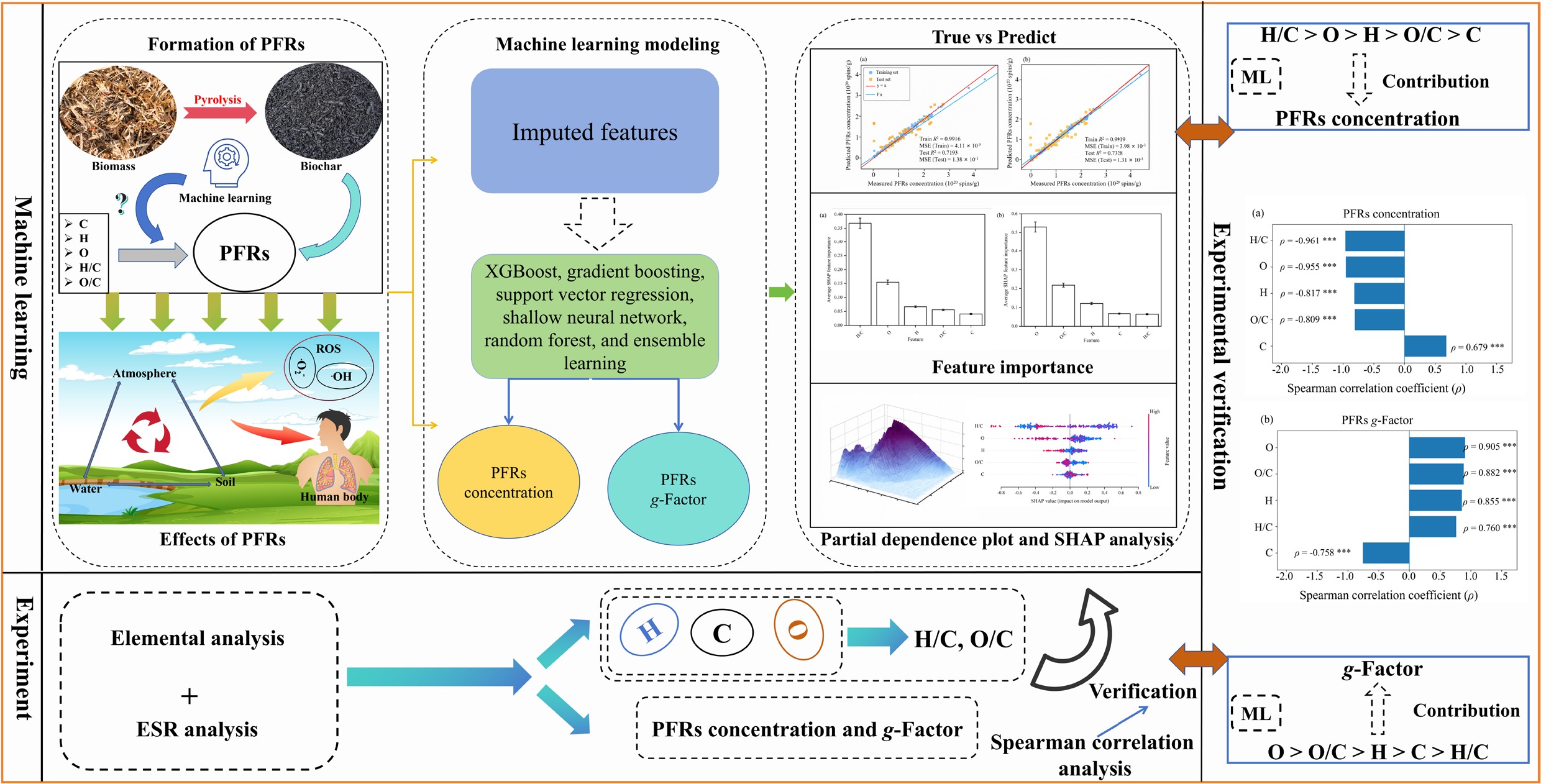 Graphical Abstract