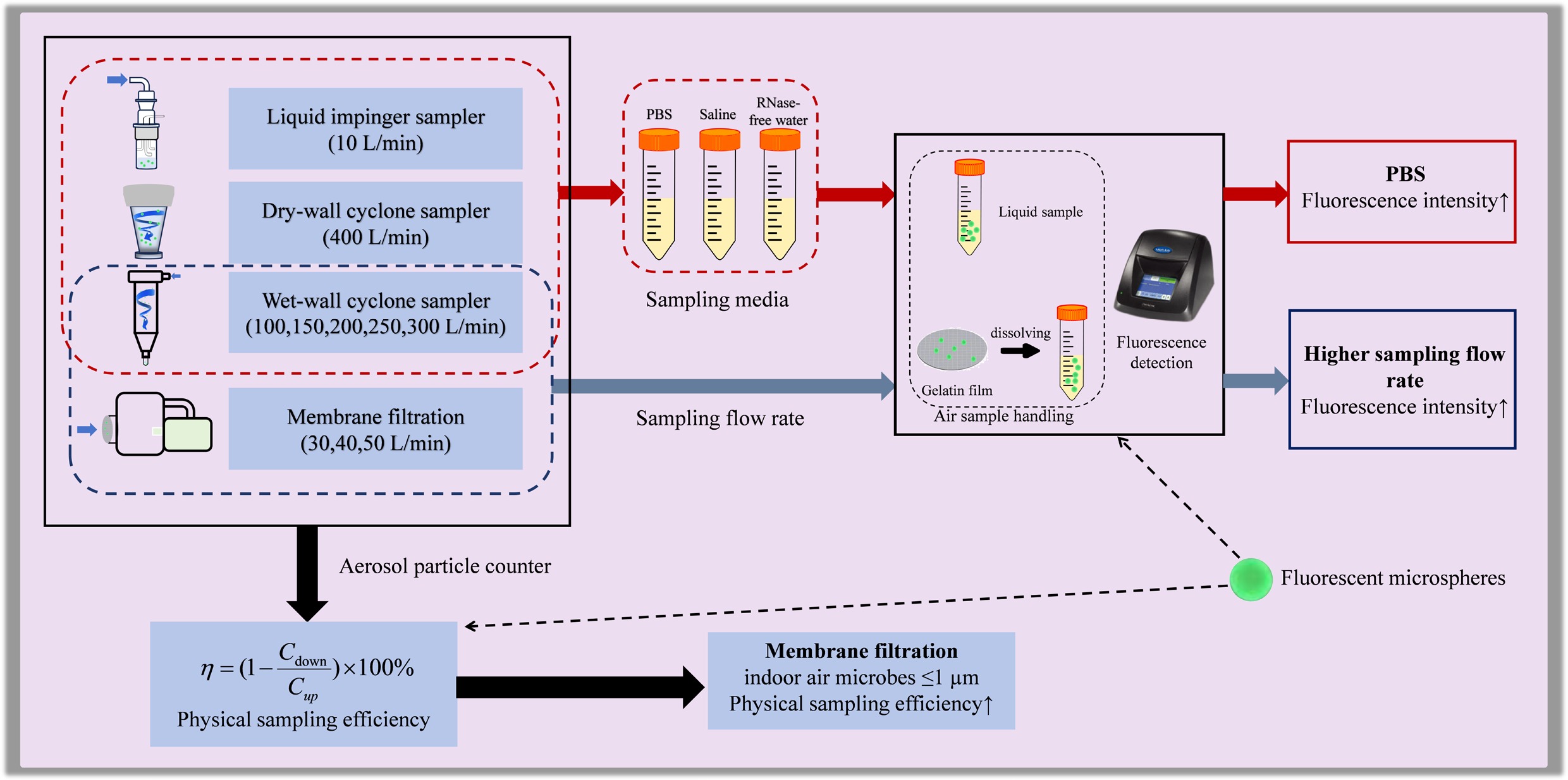 Graphical Abstract