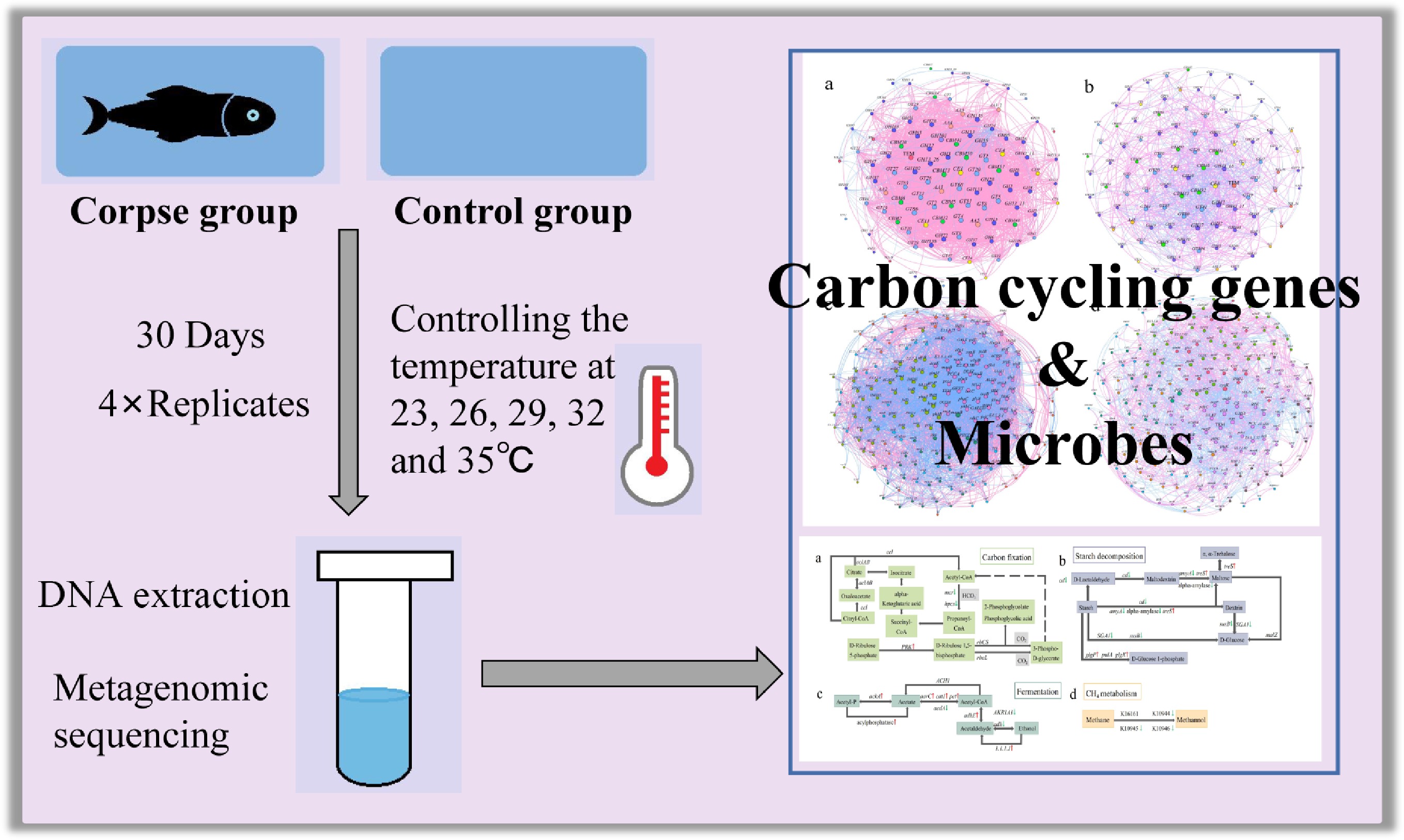 Graphical Abstract