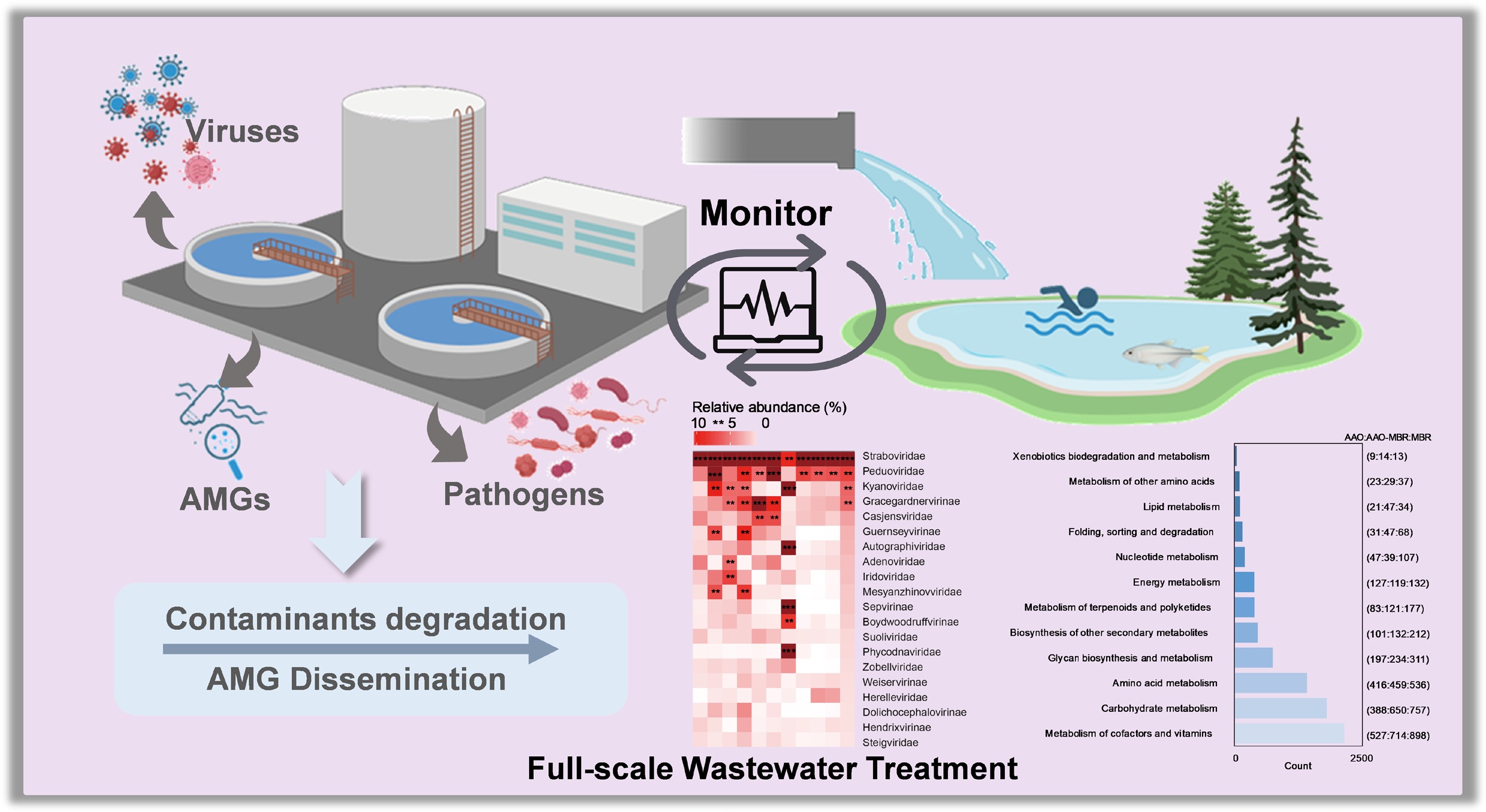 Graphical Abstract
