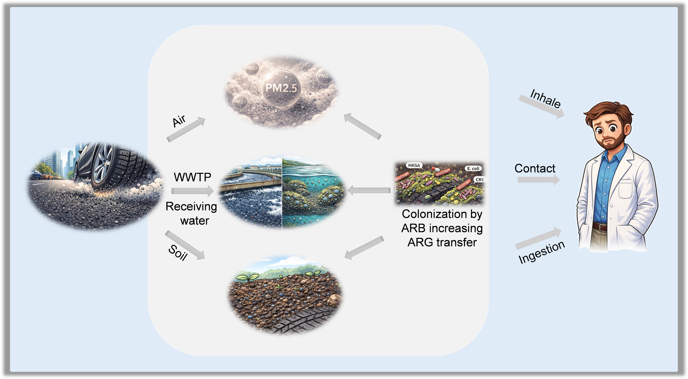 Graphical Abstract