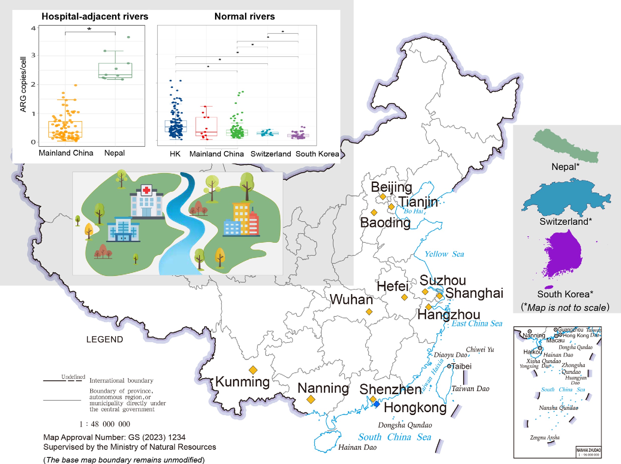 Graphical Abstract