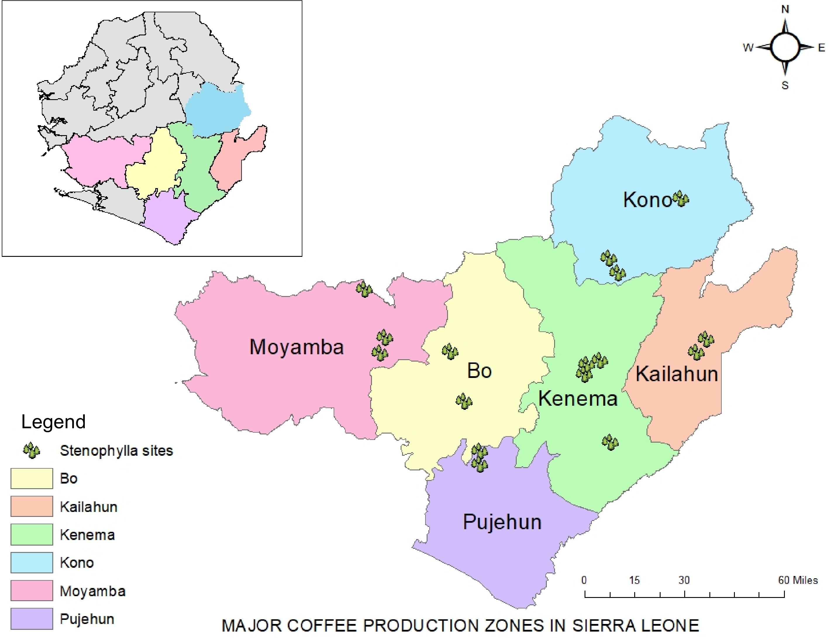 Distribution of arabica and conilon coffee varieties throughout the