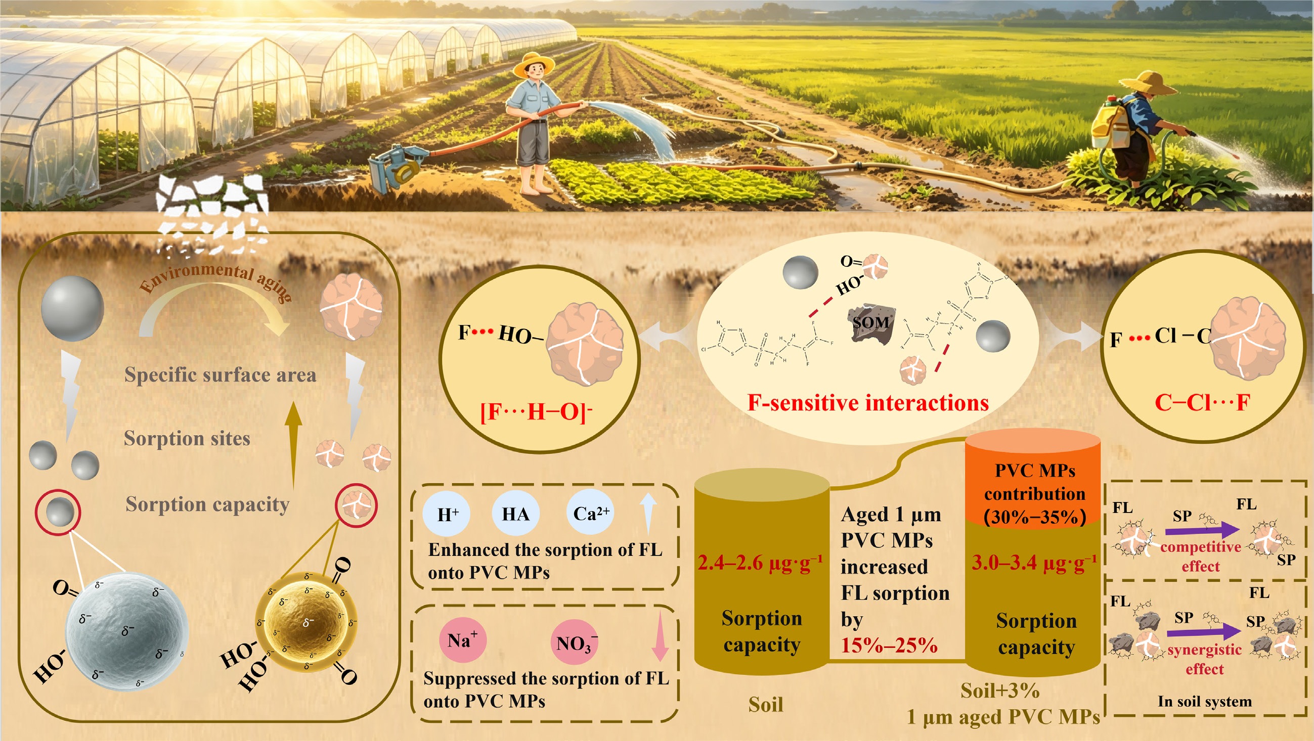 Graphical Abstract