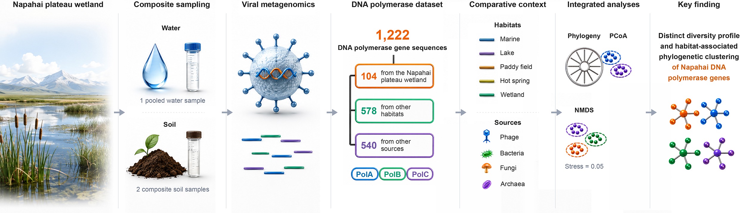 Graphical Abstract