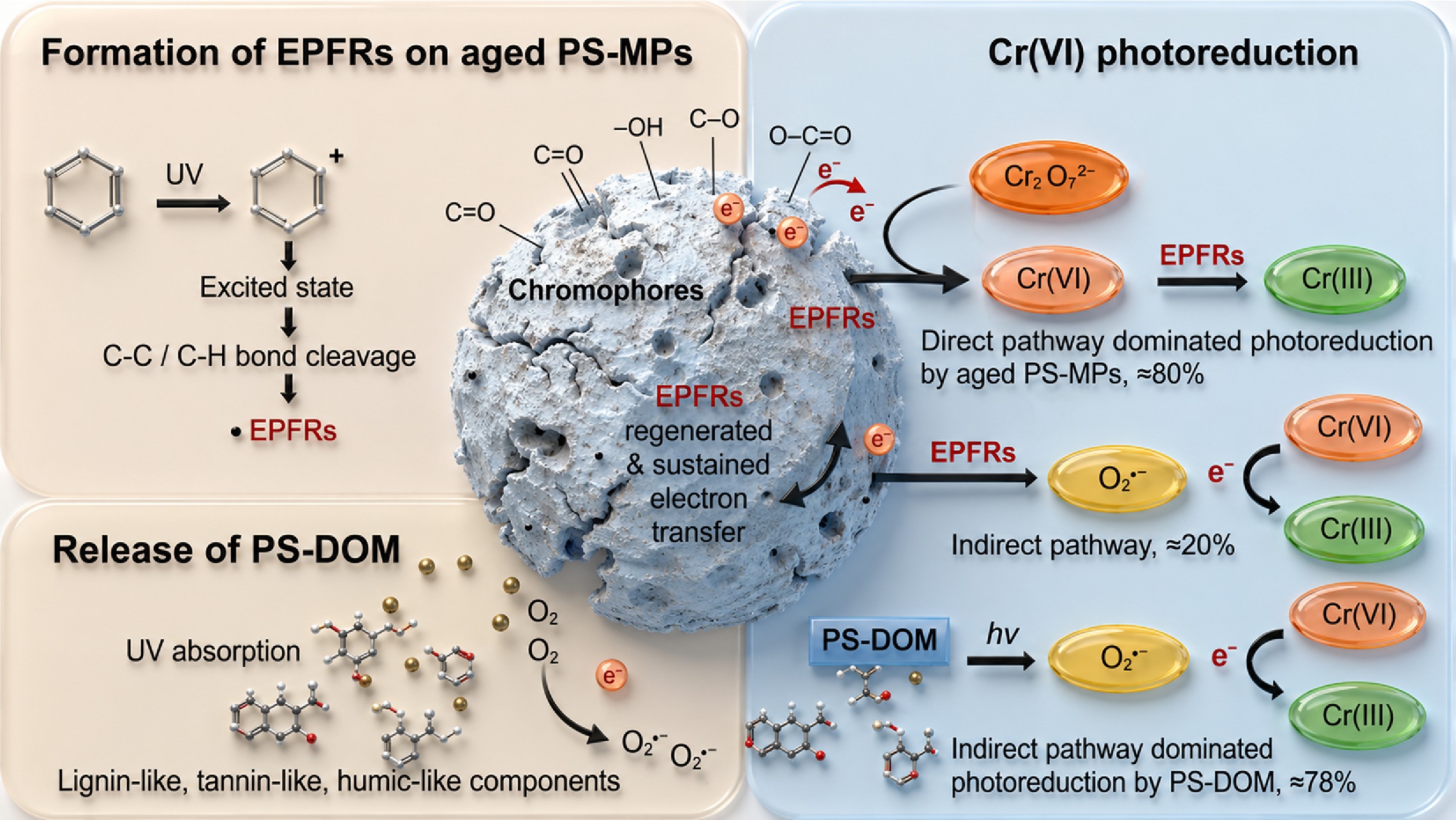 Graphical Abstract