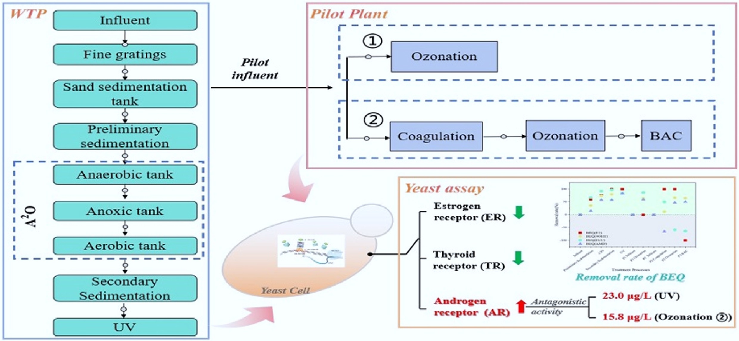 Graphical Abstract