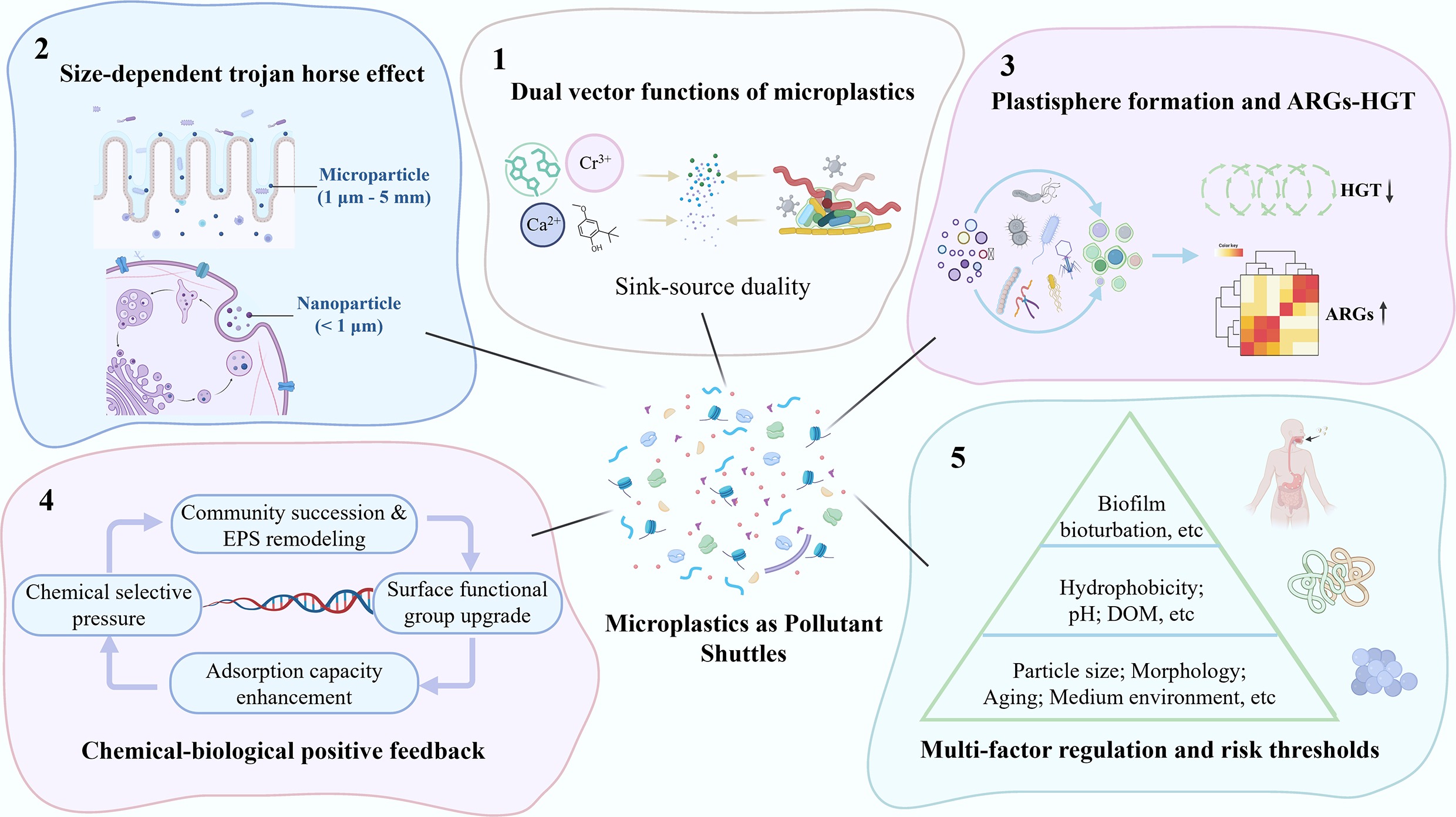 Graphical Abstract