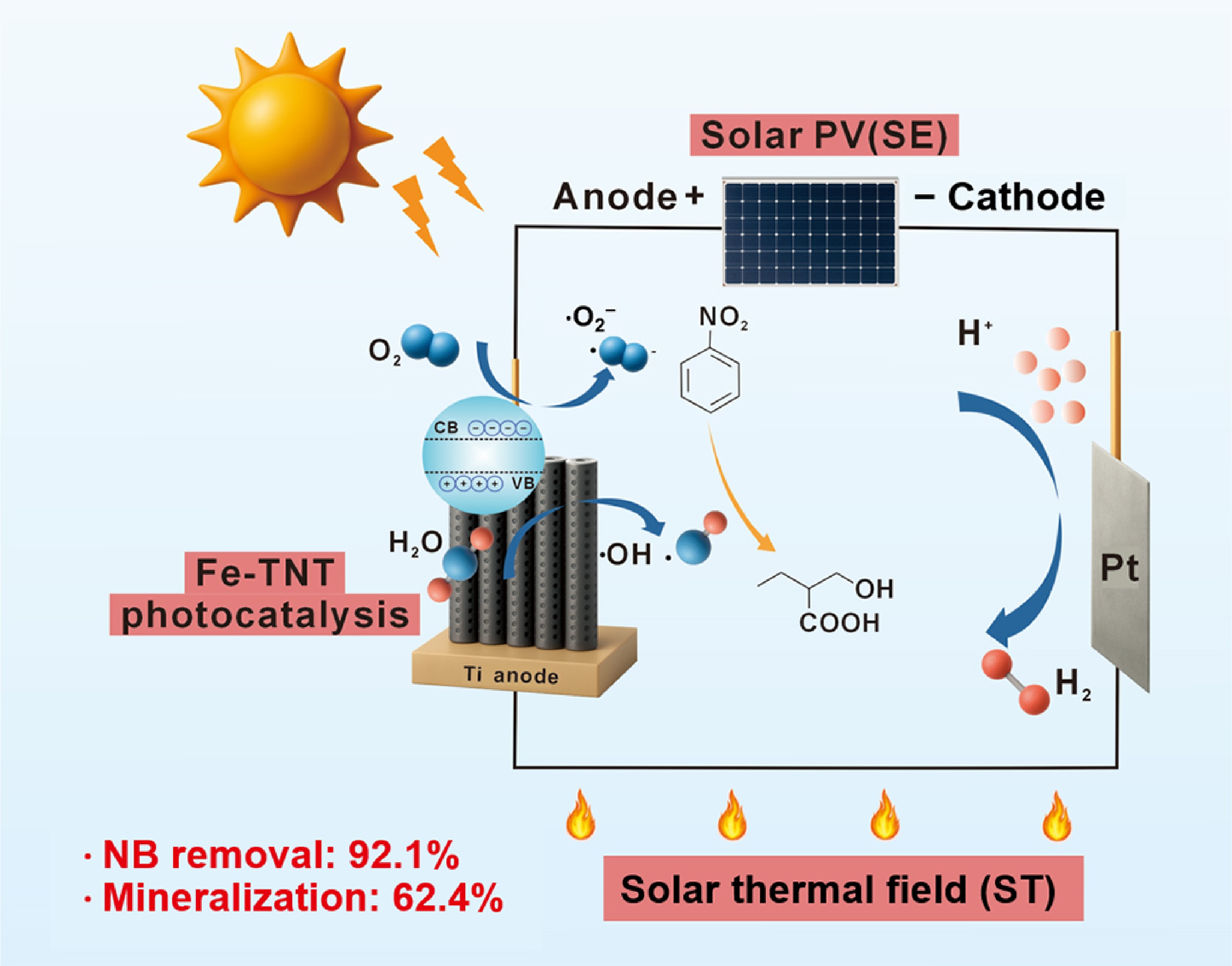 Graphical Abstract
