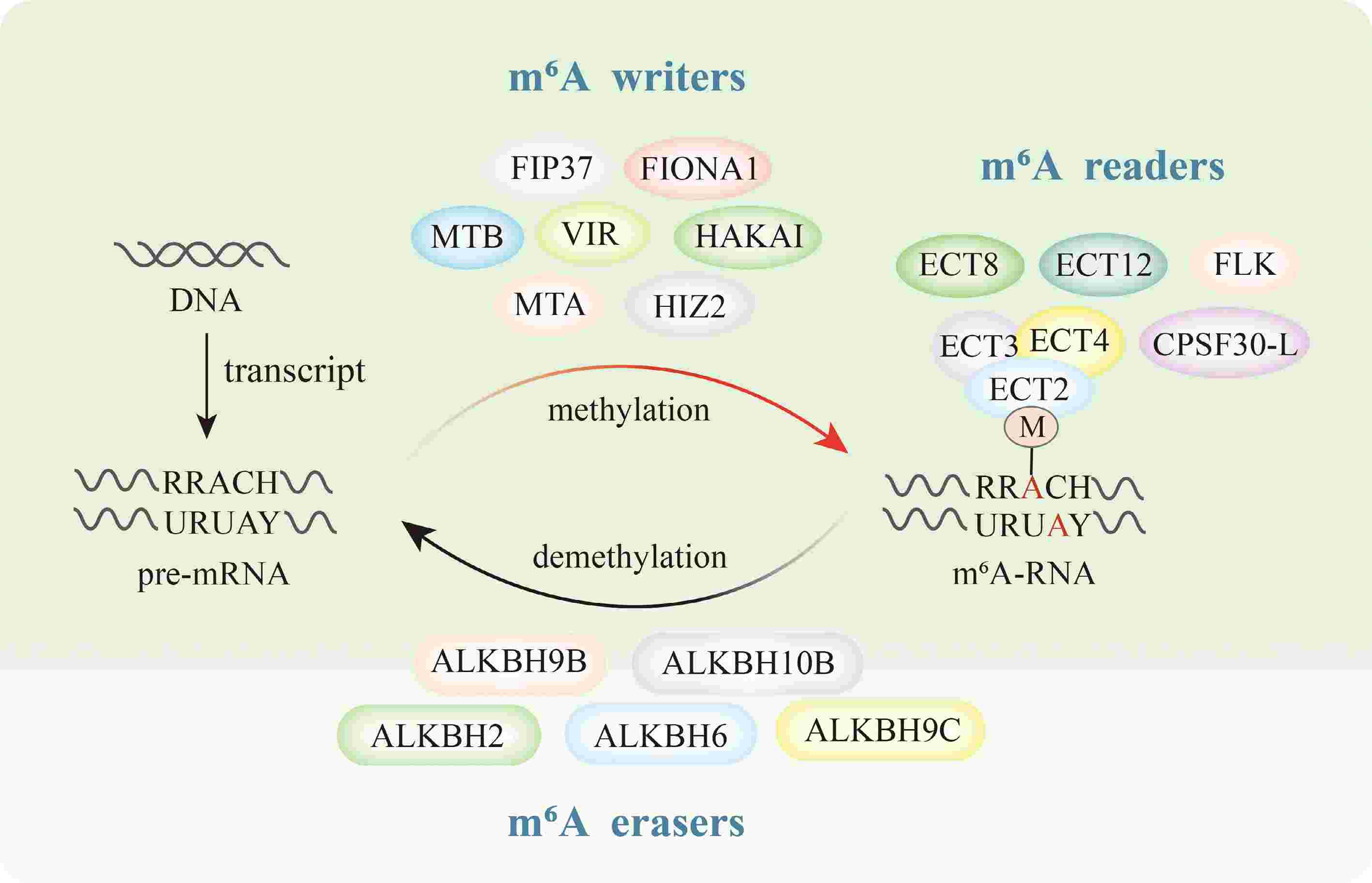 My first record purchases in decades : r/vinyl, image size:2835x1825