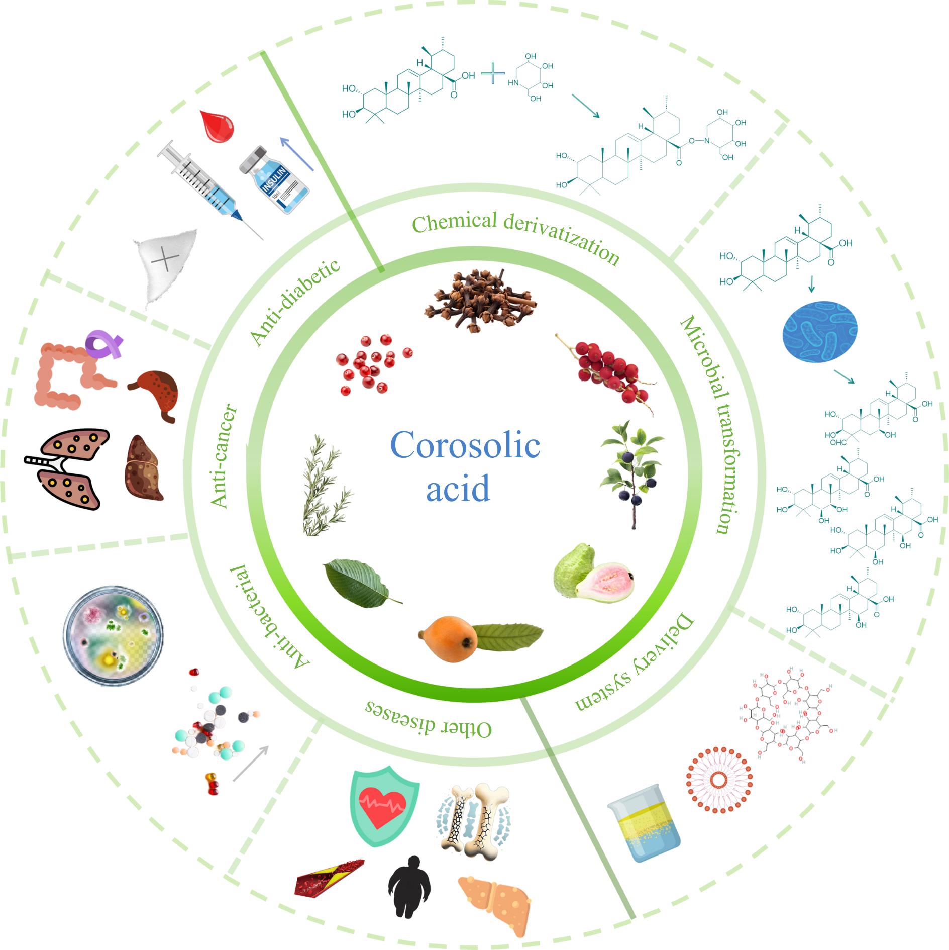 Biological activities and potential functional optimization