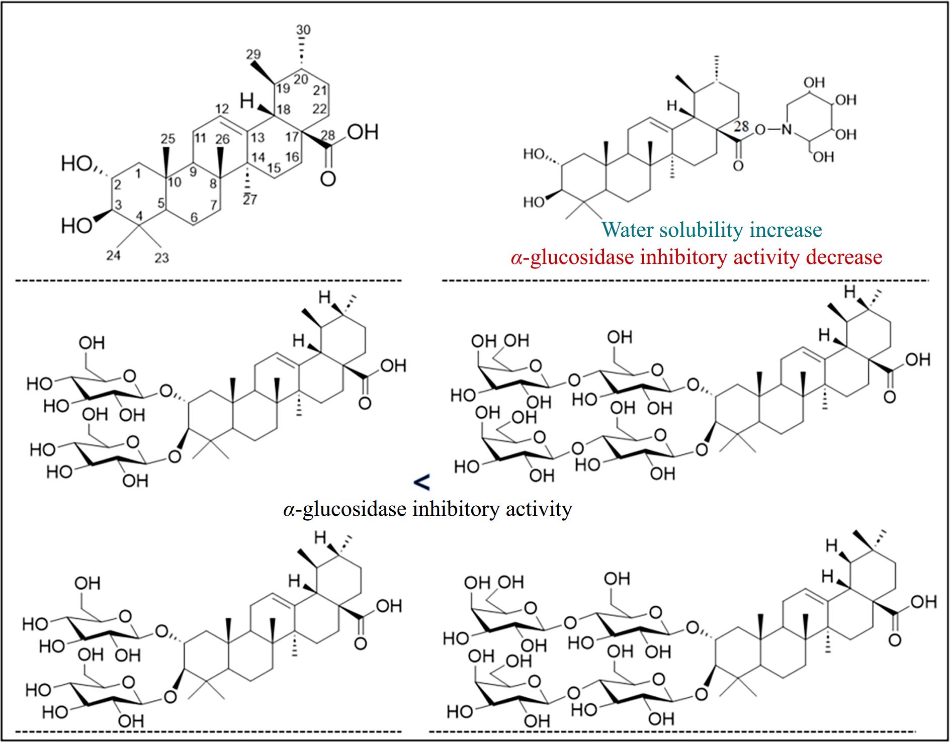 Biological activities and potential functional optimization