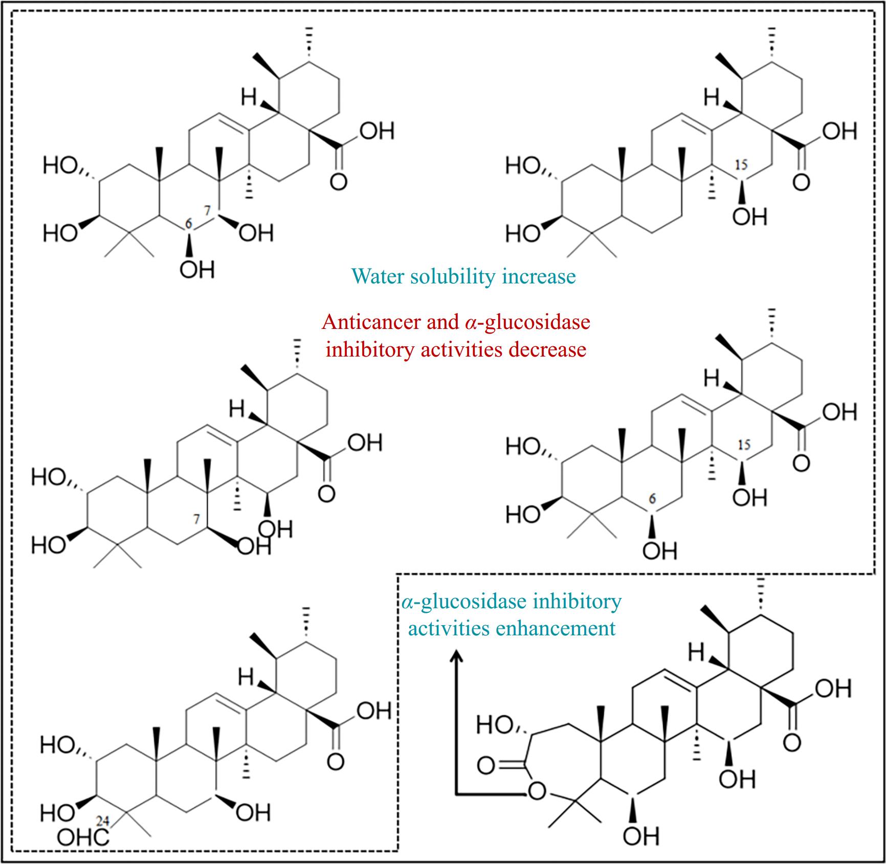 【RAW】 Biological activities and potential functional optimization