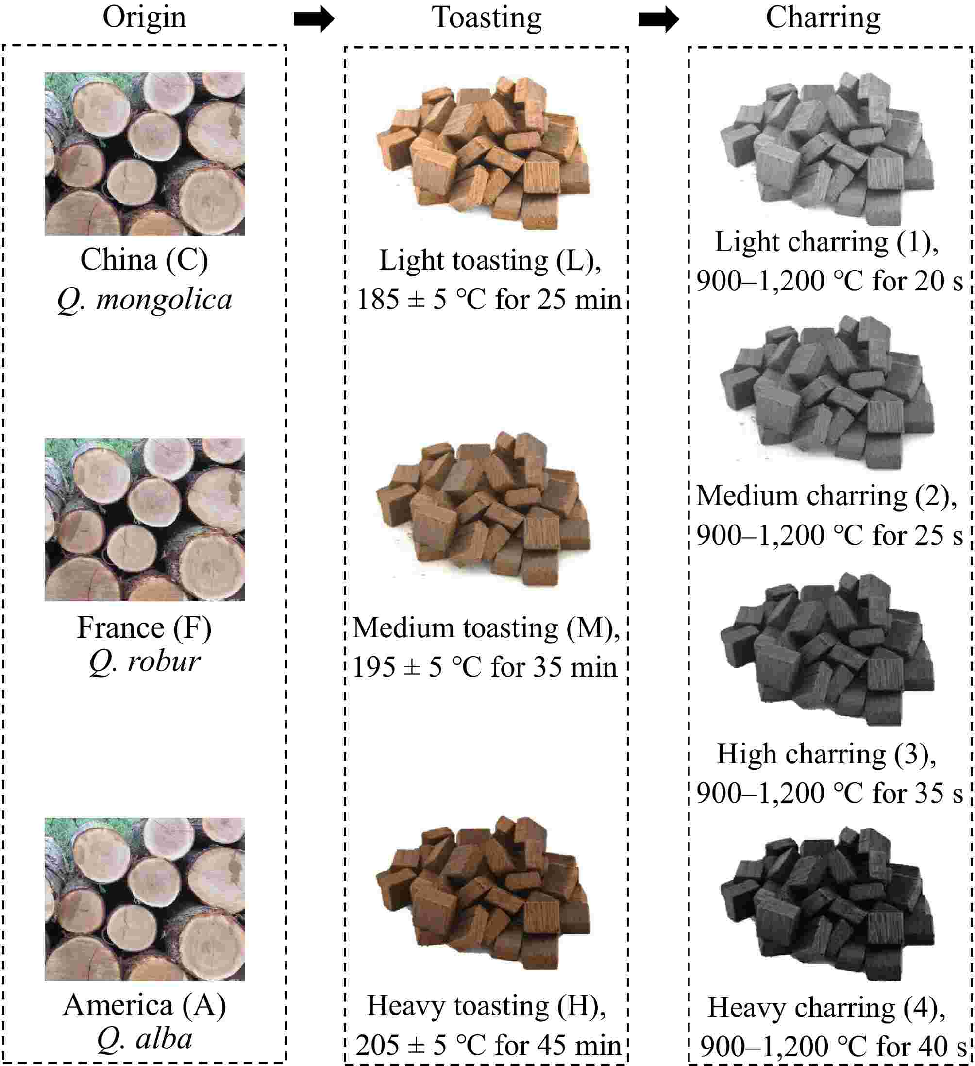 Profiling the volatile metabolomics and aroma characteristics of