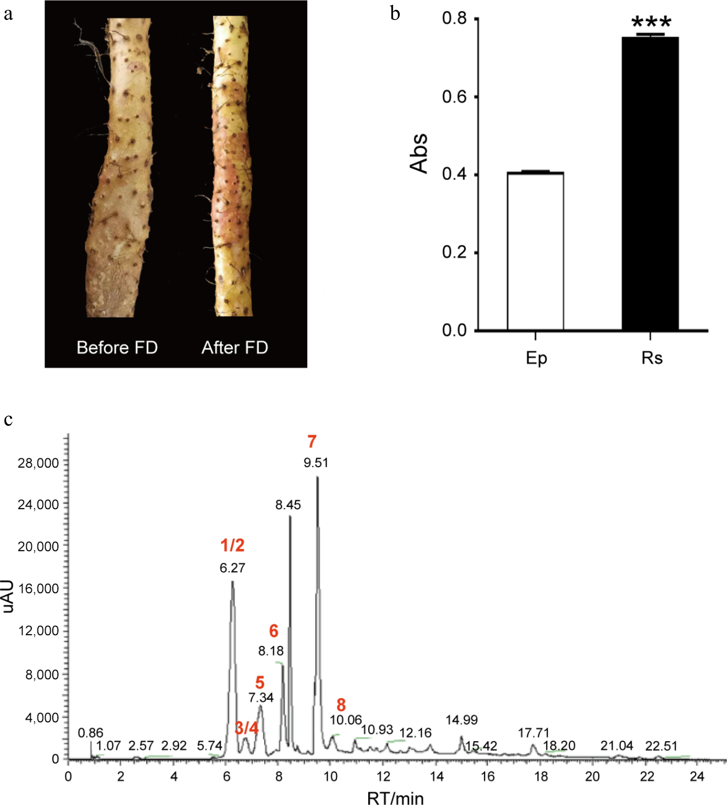 おまとめ３点 DAYTONA デイトナ X903 チークパッド WD XLサイズ/35mm 15054