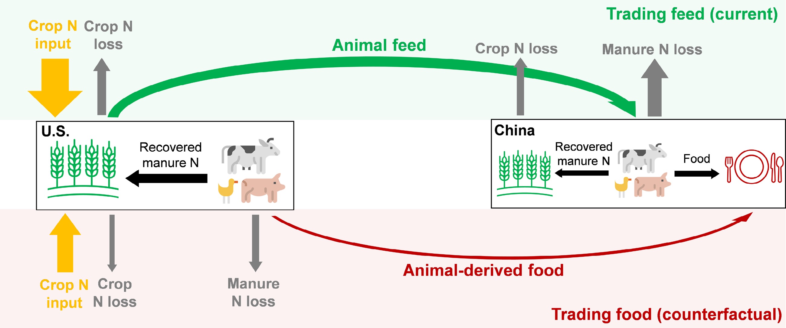 Graphical Abstract
