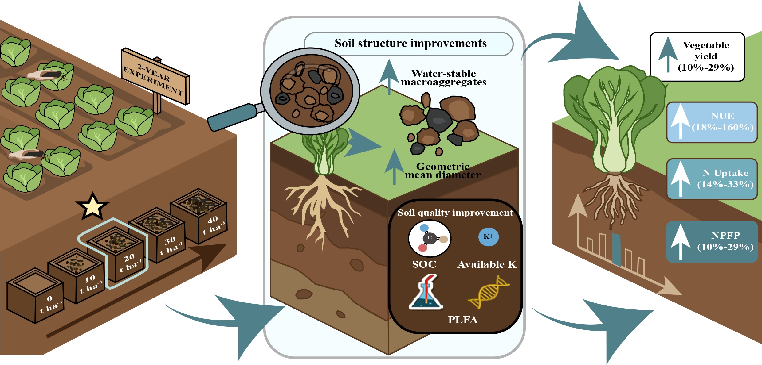 Graphical Abstract