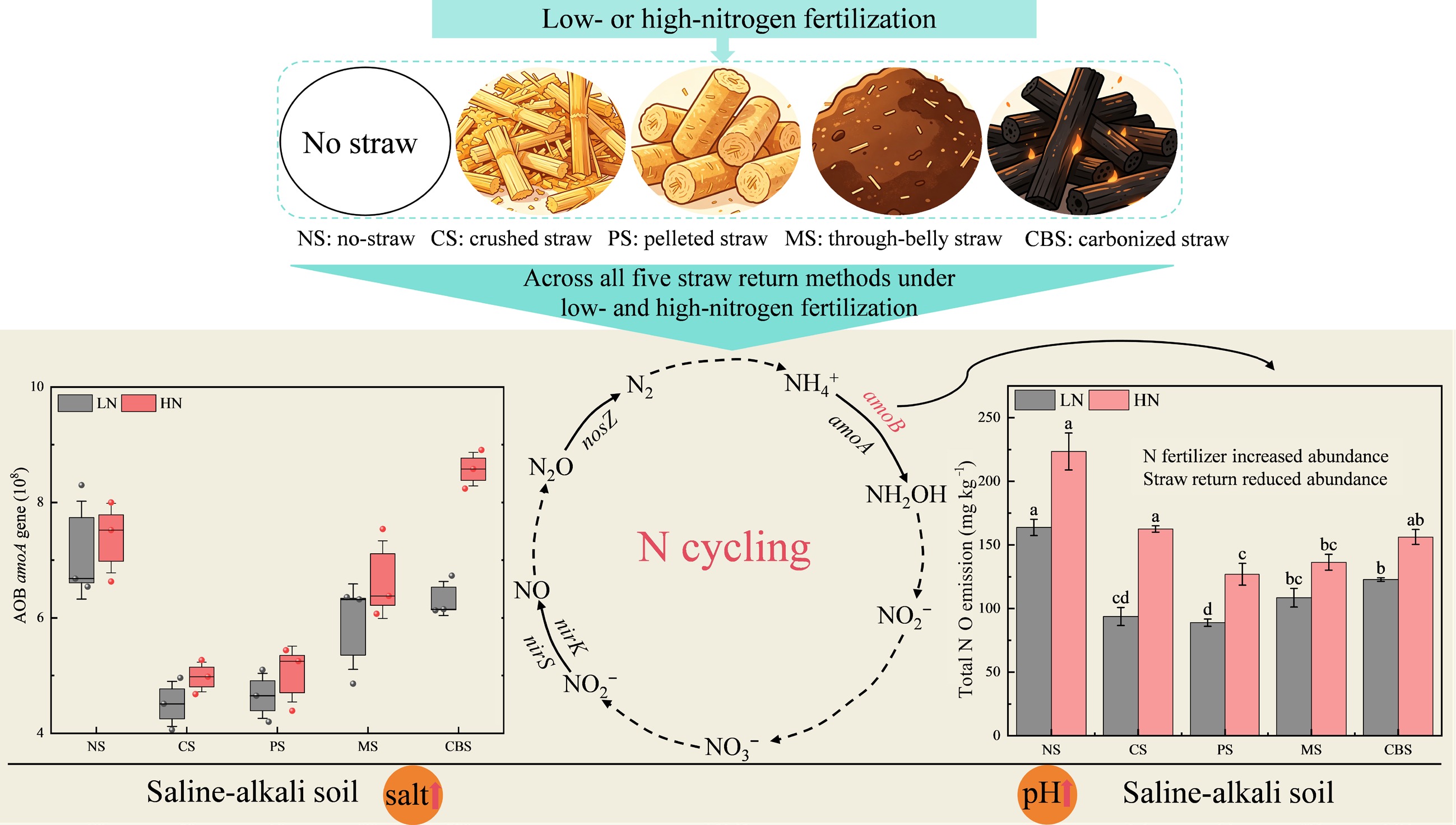 Graphical Abstract