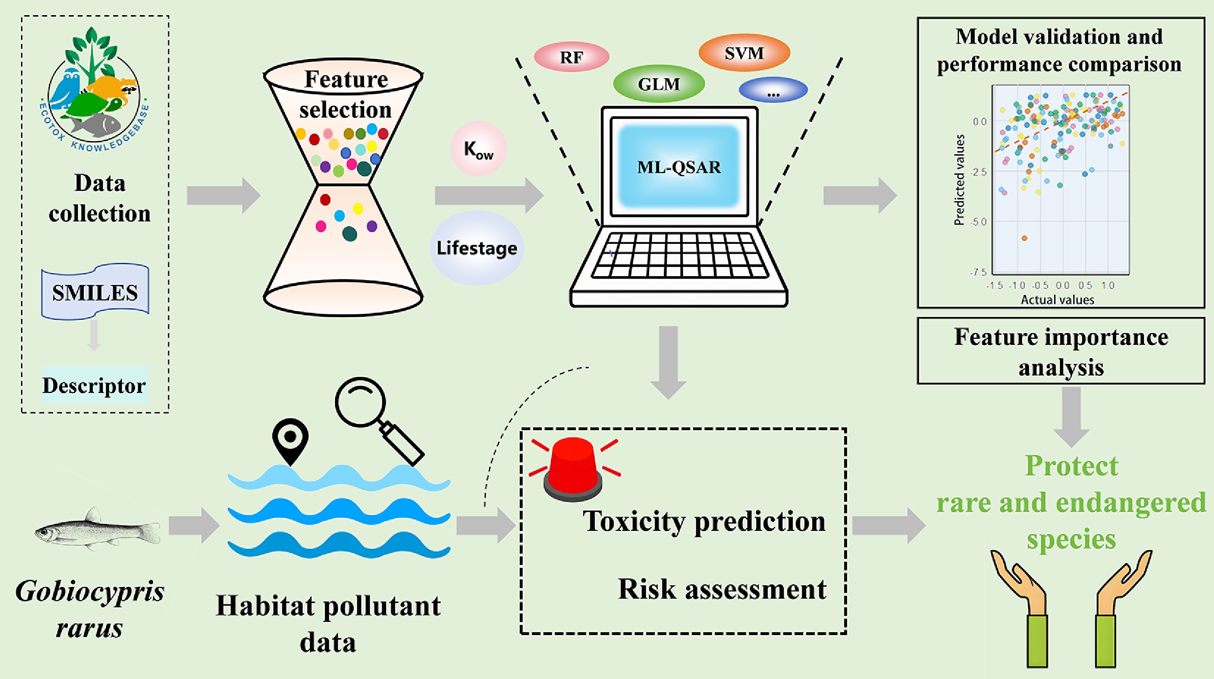 Graphical Abstract