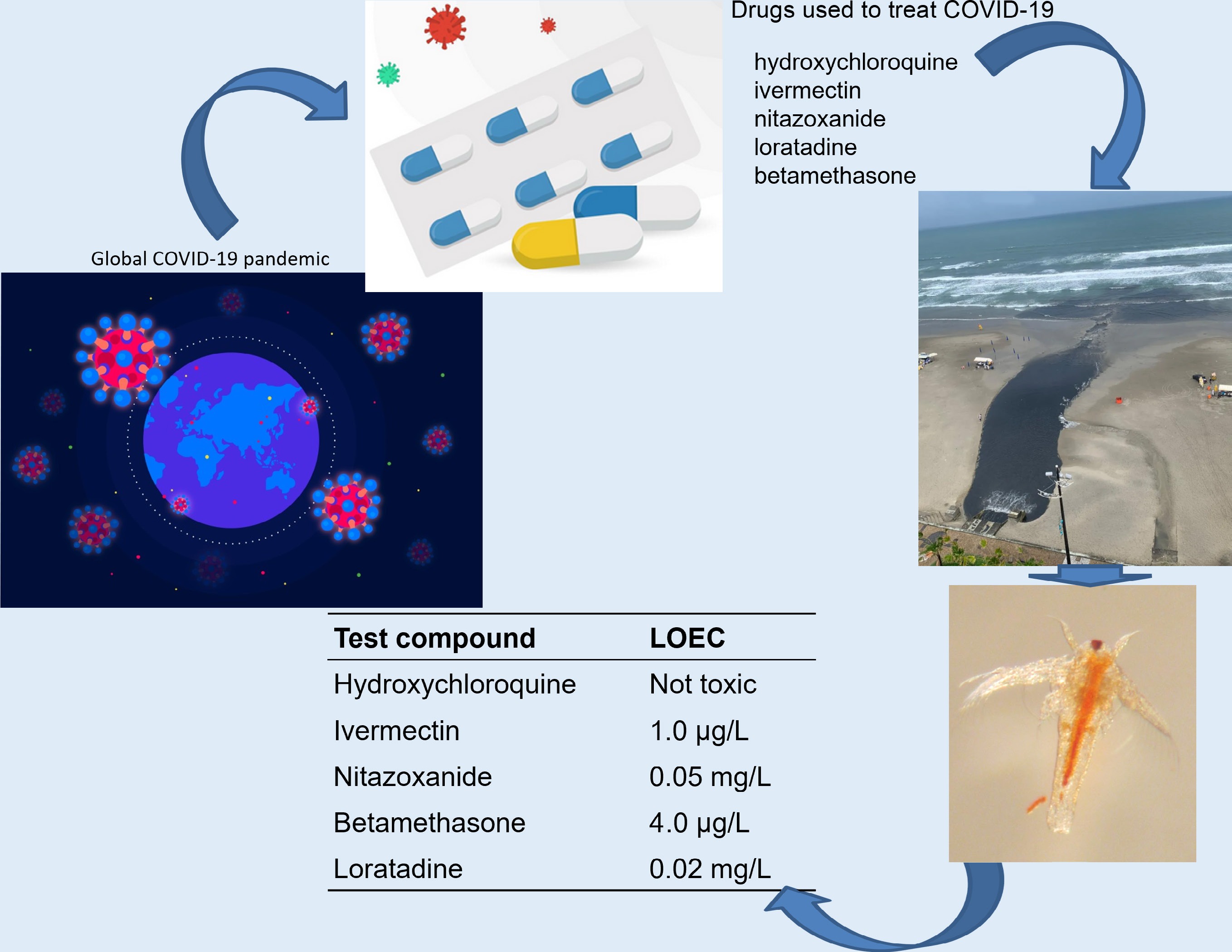 Graphical Abstract