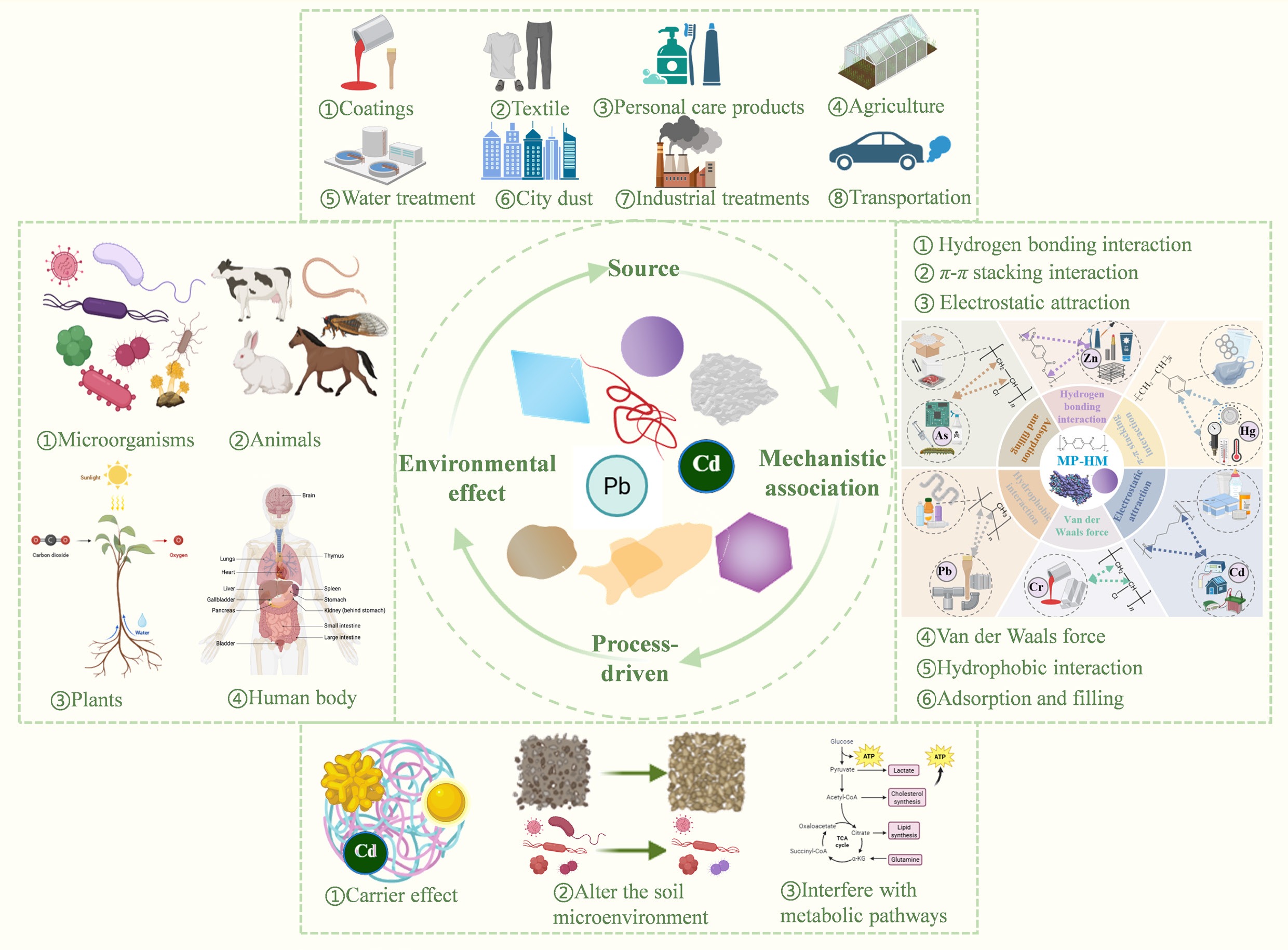 Graphical Abstract