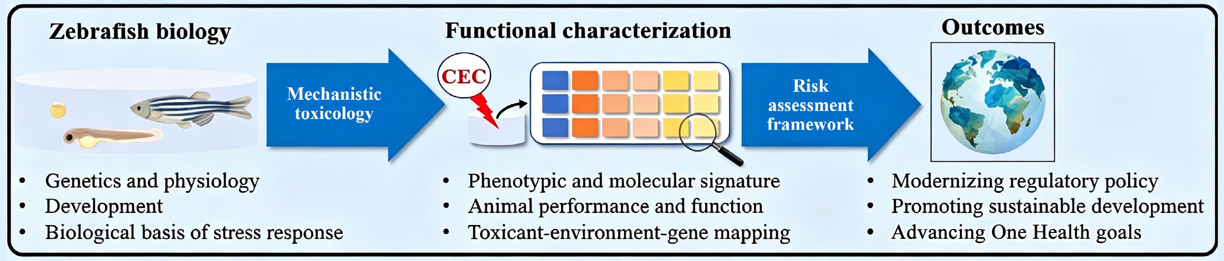Graphical Abstract