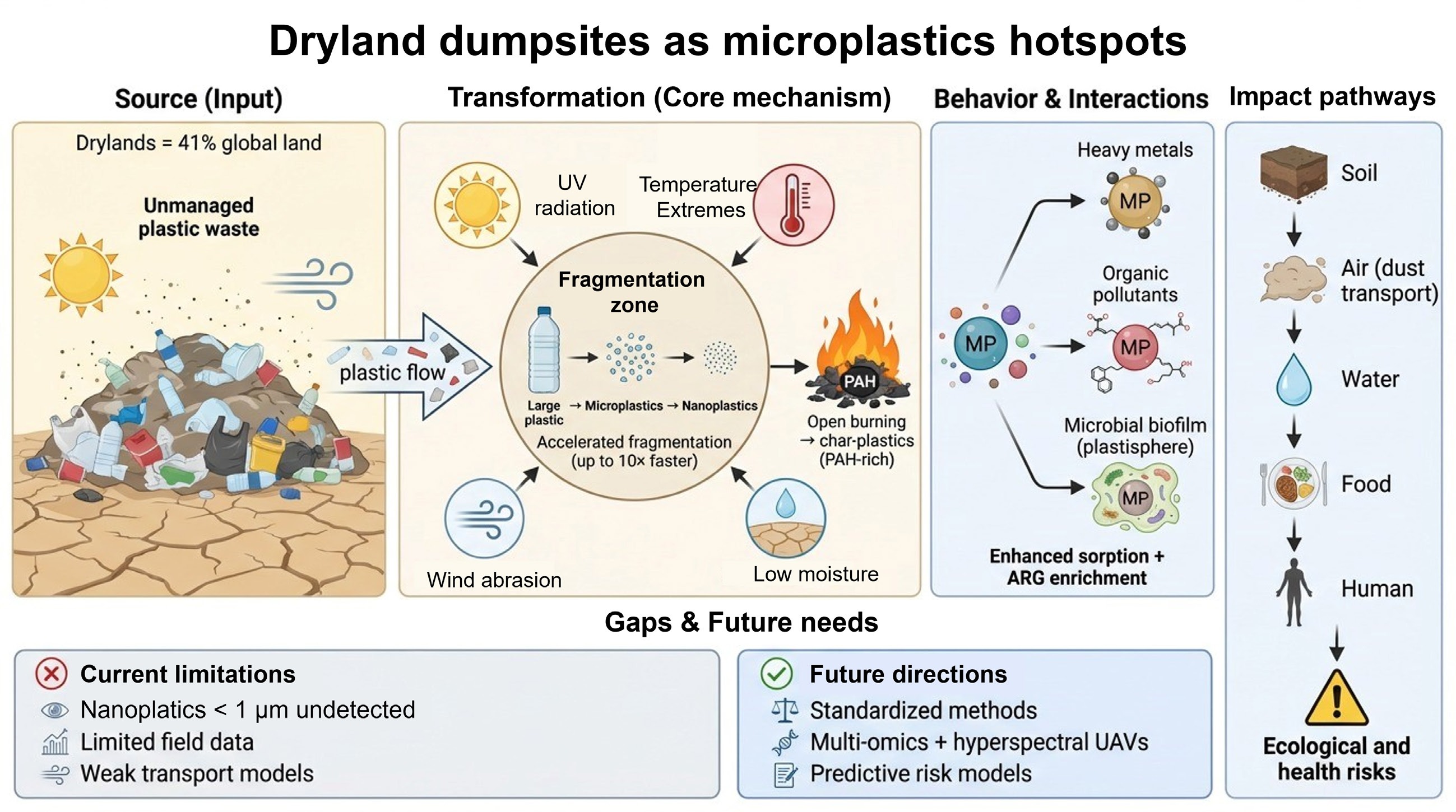Graphical Abstract