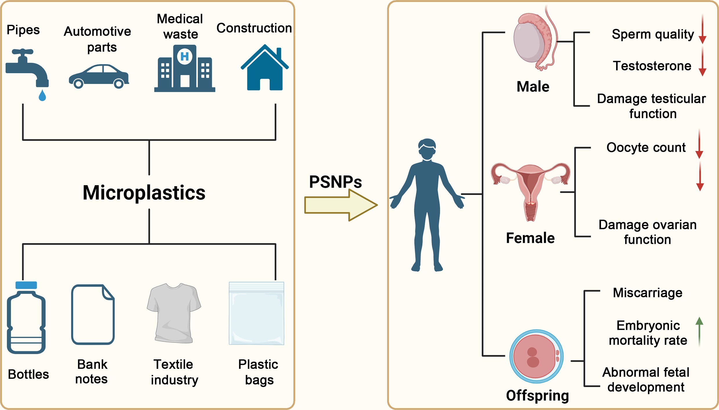 Graphical Abstract