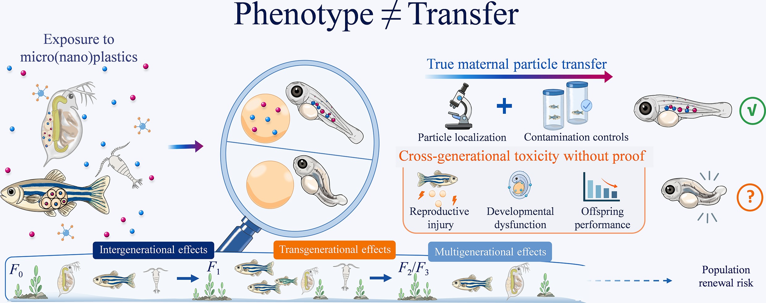 Graphical Abstract