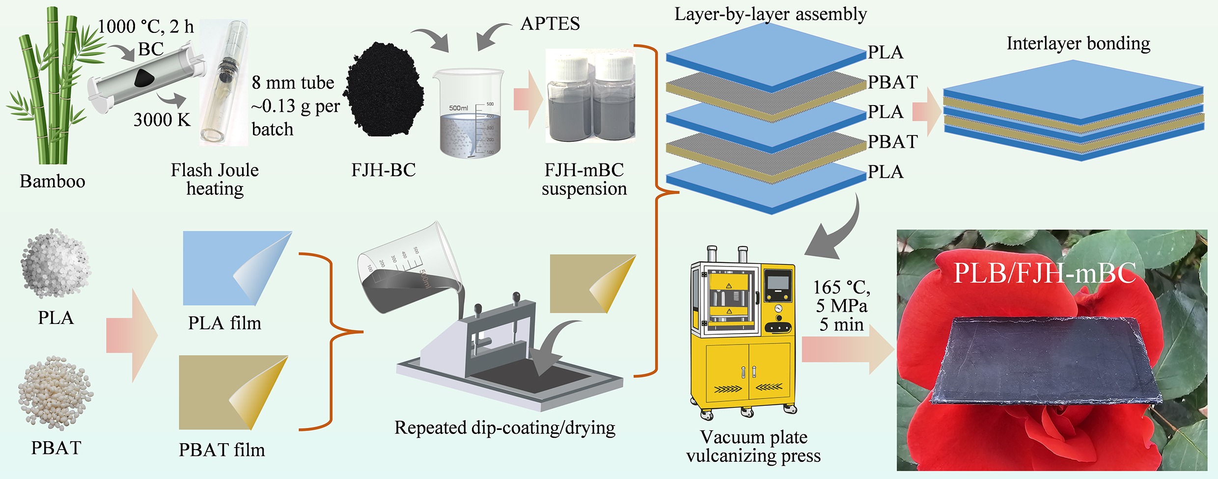 Graphical Abstract