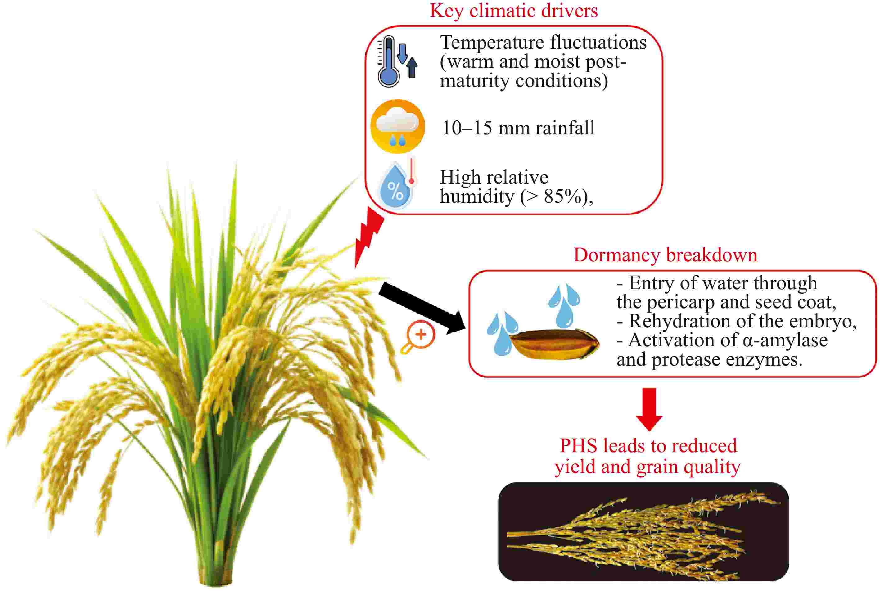 Integrated physiological, genetic, and environmental insights into