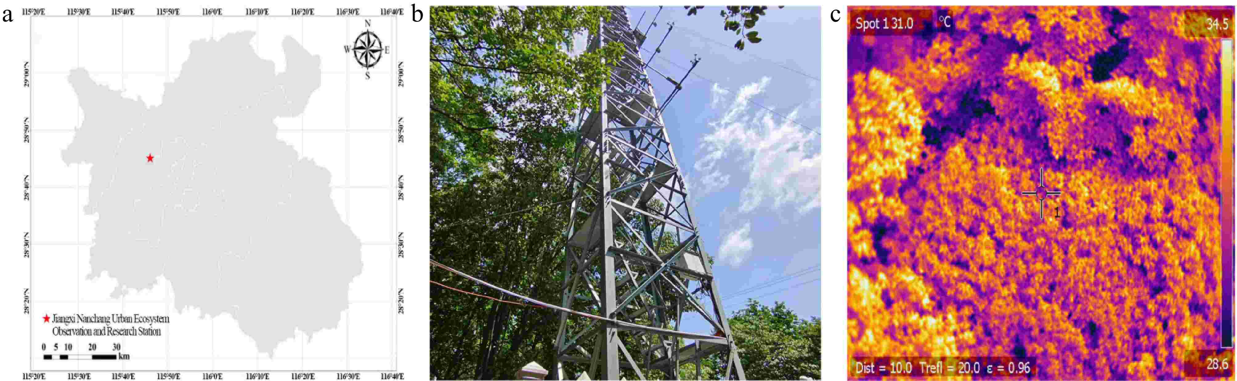 Thermal-index monitoring of water status in humid-region urban